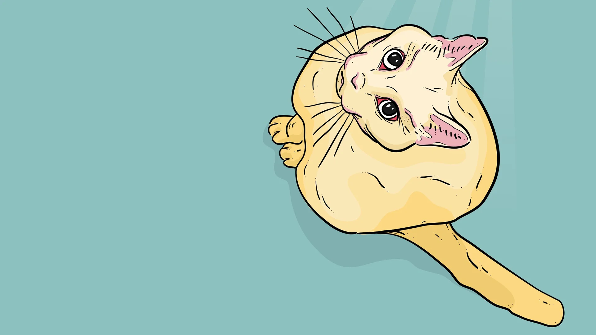 JRH Illustration Gato.jpg