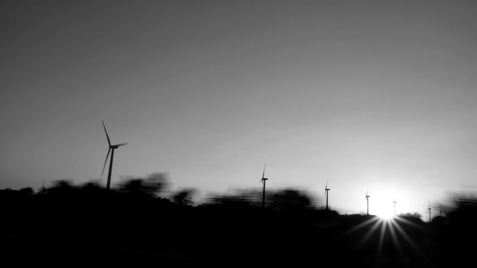 JRH Photo Windmills.jpg
