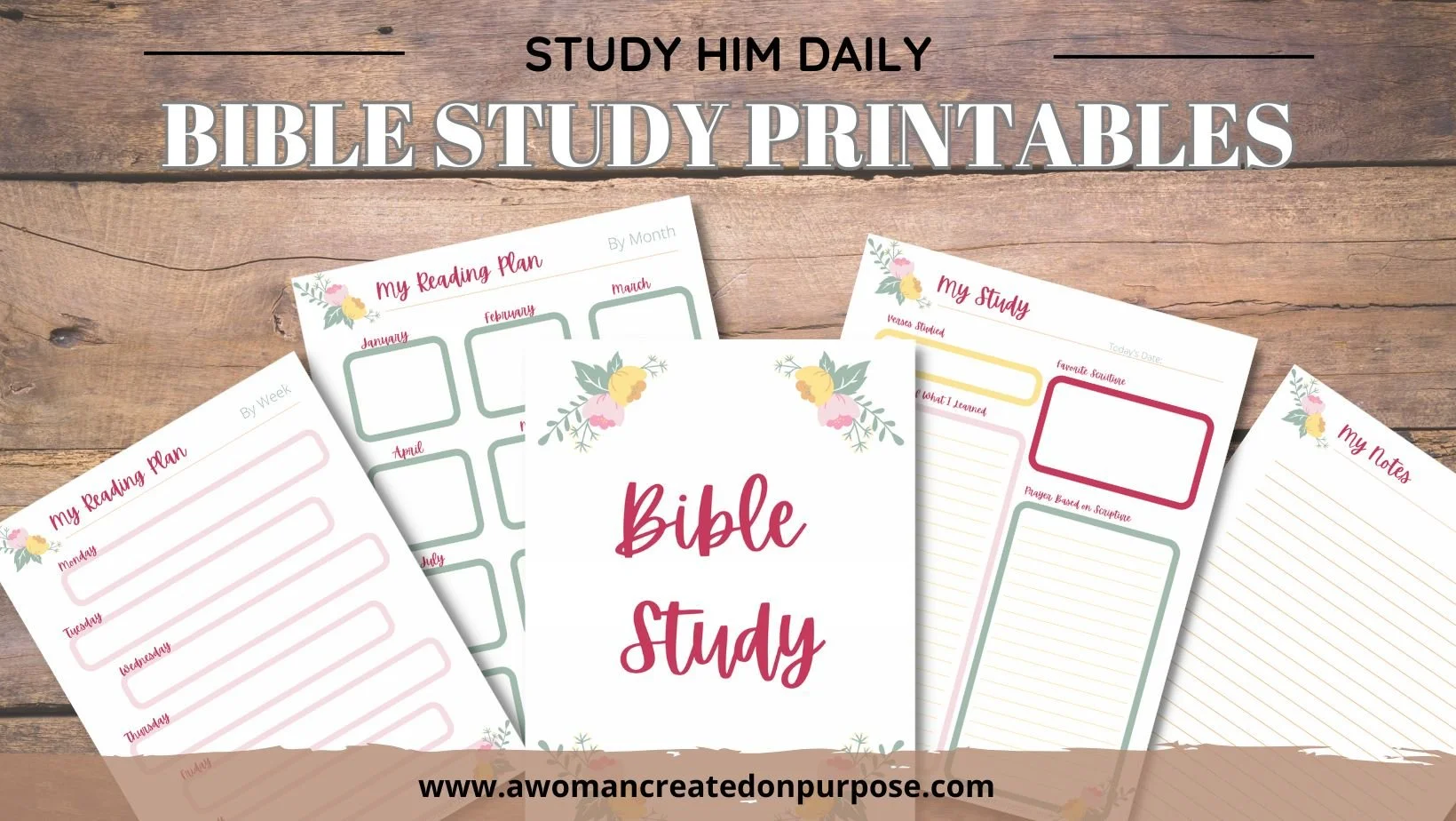 free women's bible study