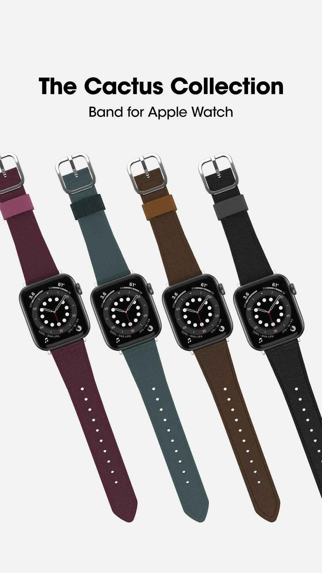 OB_92229_Cactus_Leather_Social_IGS_1080x1920 3.jpg