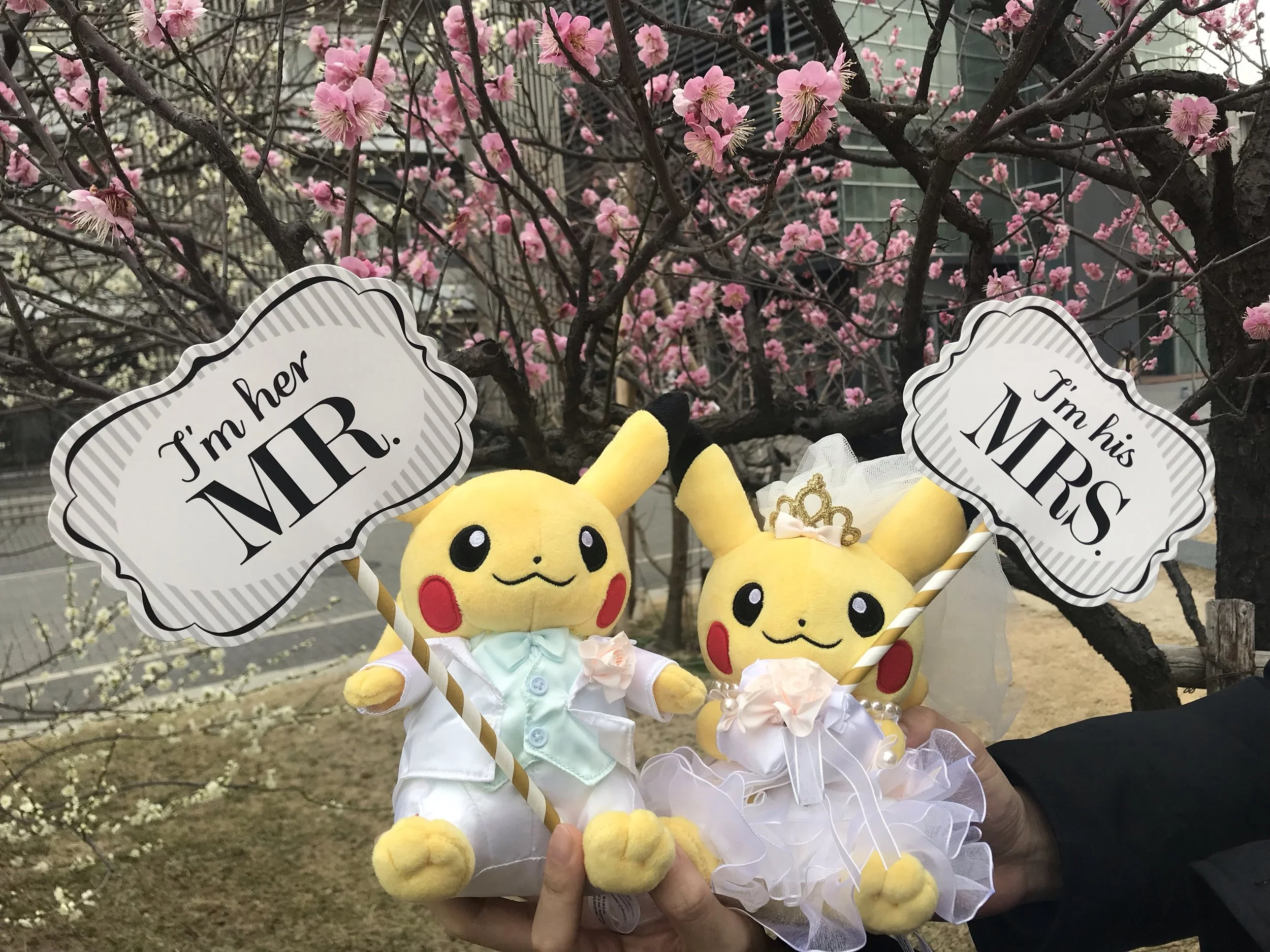RSVP Pika.jpg