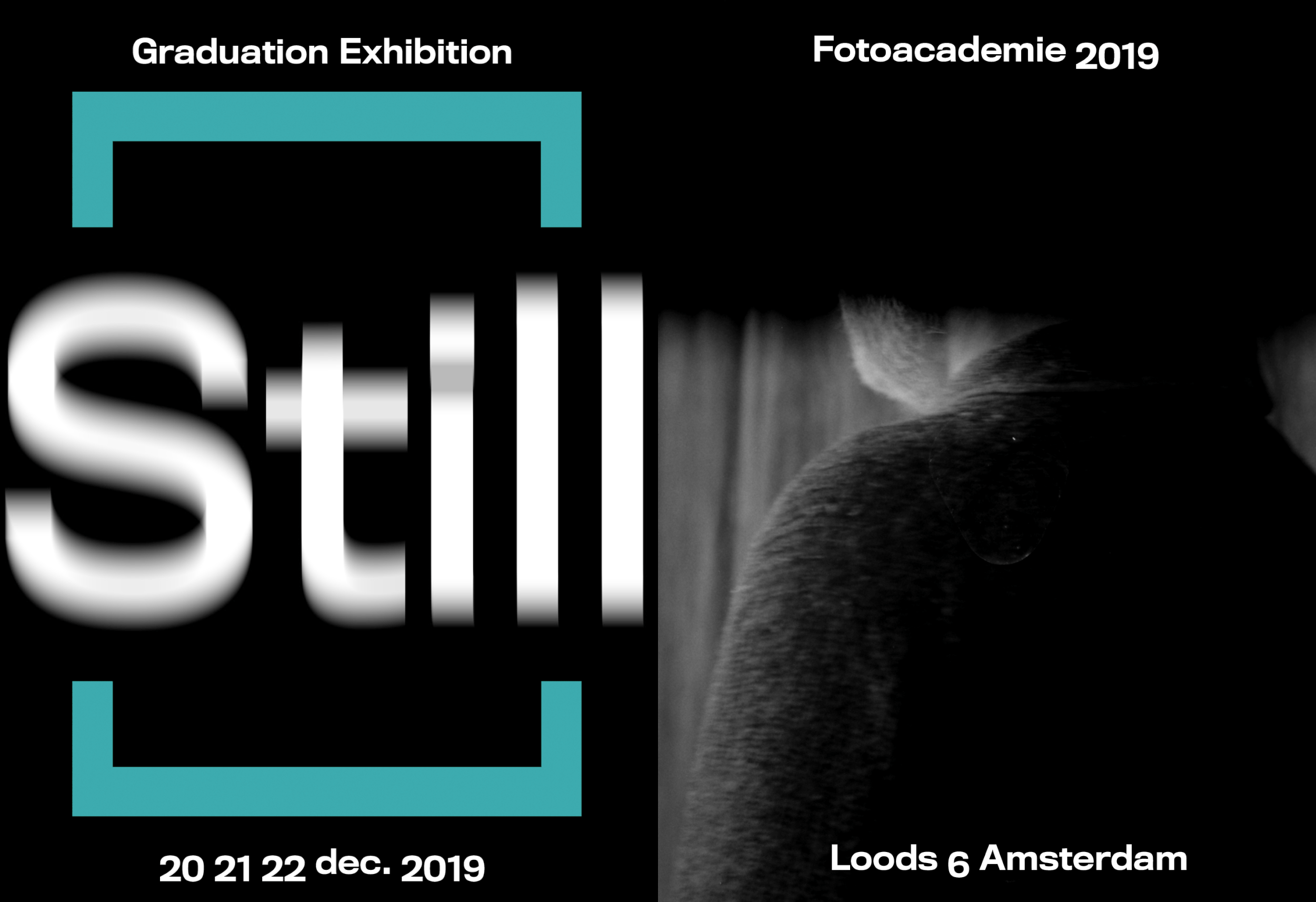 Expo 'Still' at Loods 6 Amsterdam