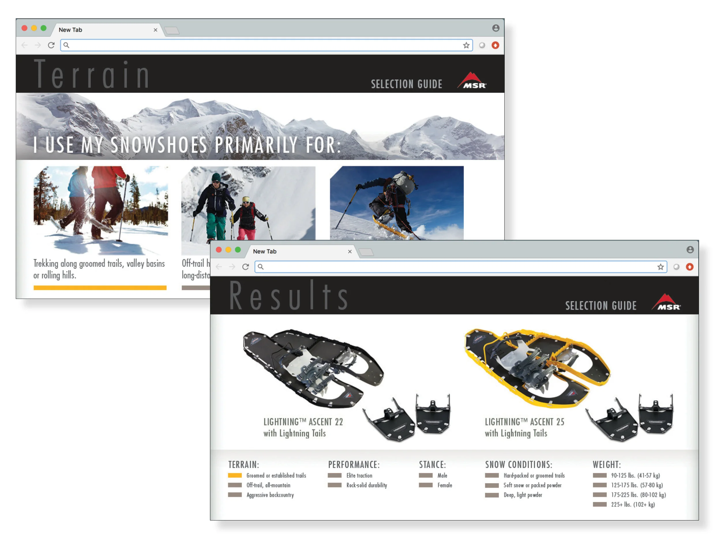 MSR Snowshoe Web.jpg