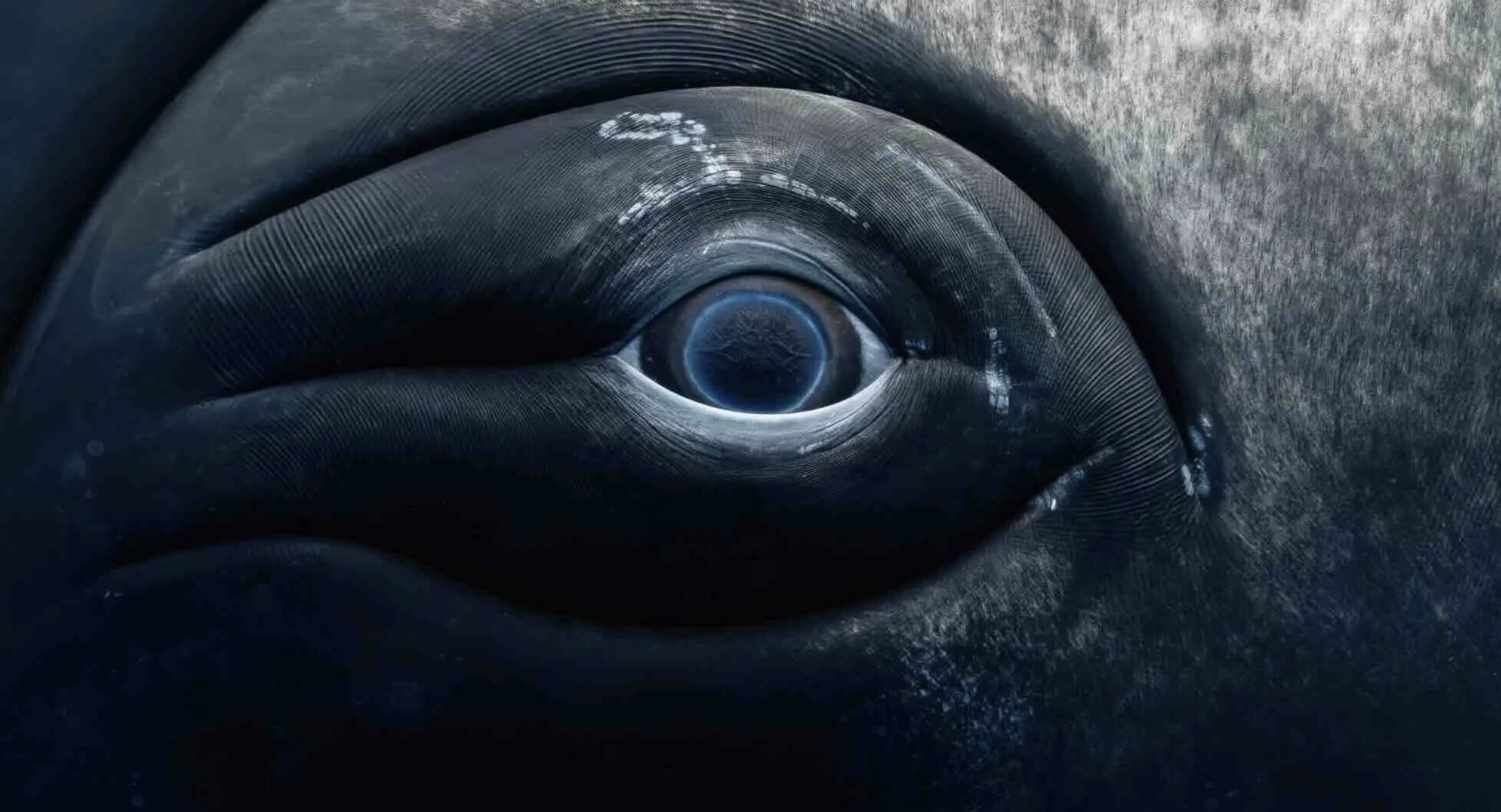 Screen Shot 2025-11-12 at 10.27.18.png