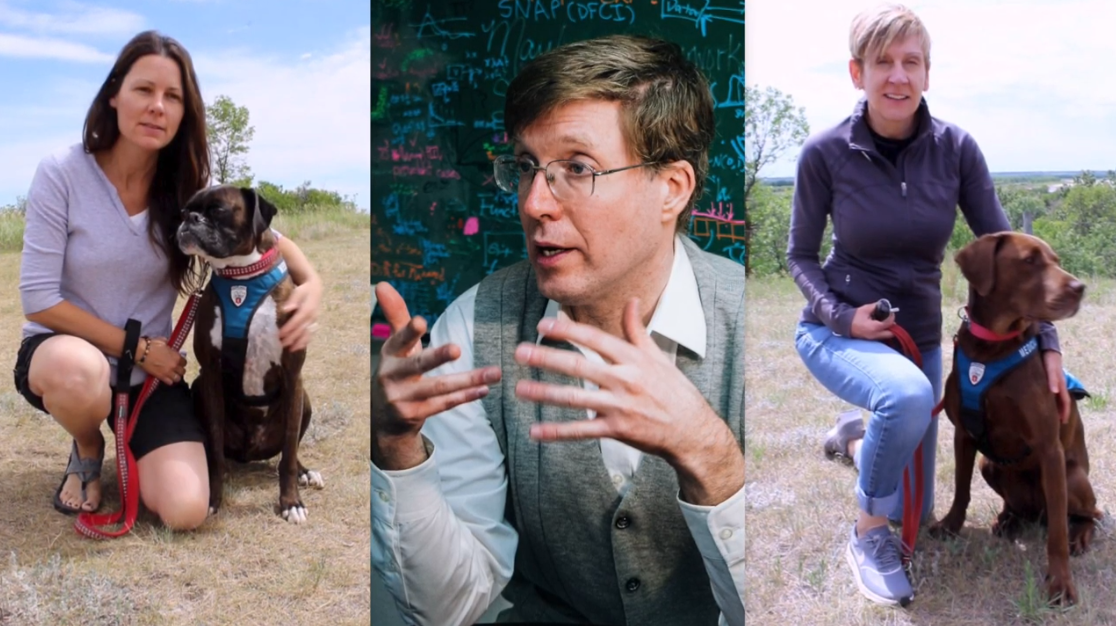 A PAWSitive Support Project for Veterans with PTSD and Who Problematically Use Substances