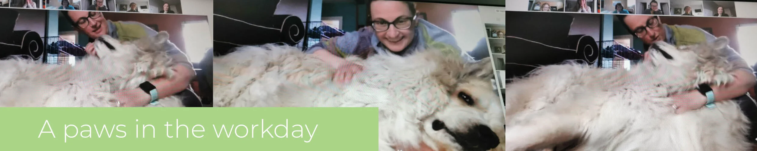 Coffee Breaks are for the Dogs