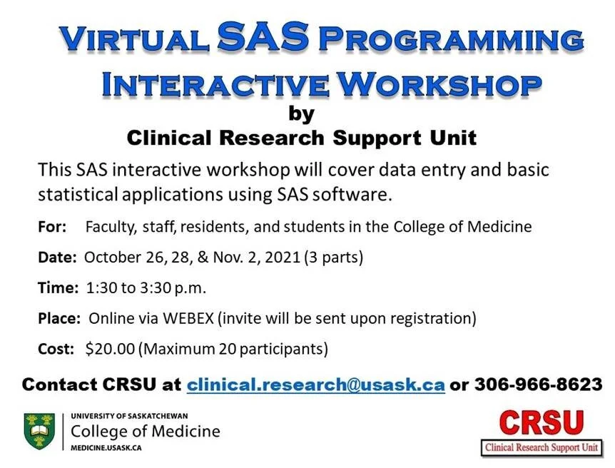 Virtual SAS Interactive Workshop
