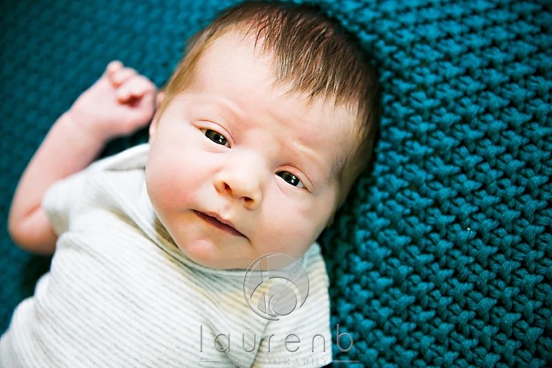 Minneapolis In Home Newborn Portraits