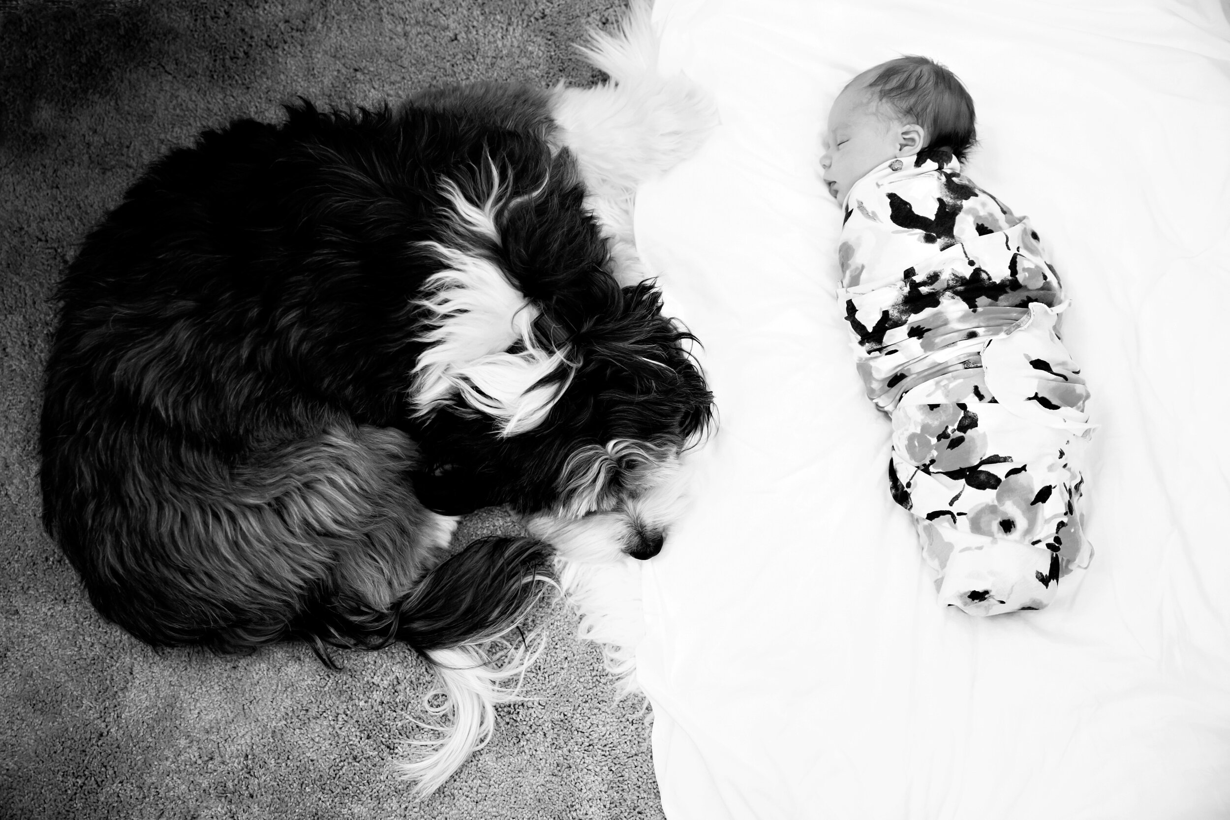 Minneapolis Little Ones Portrait Lauren B Photography Newborn Baby005.jpg