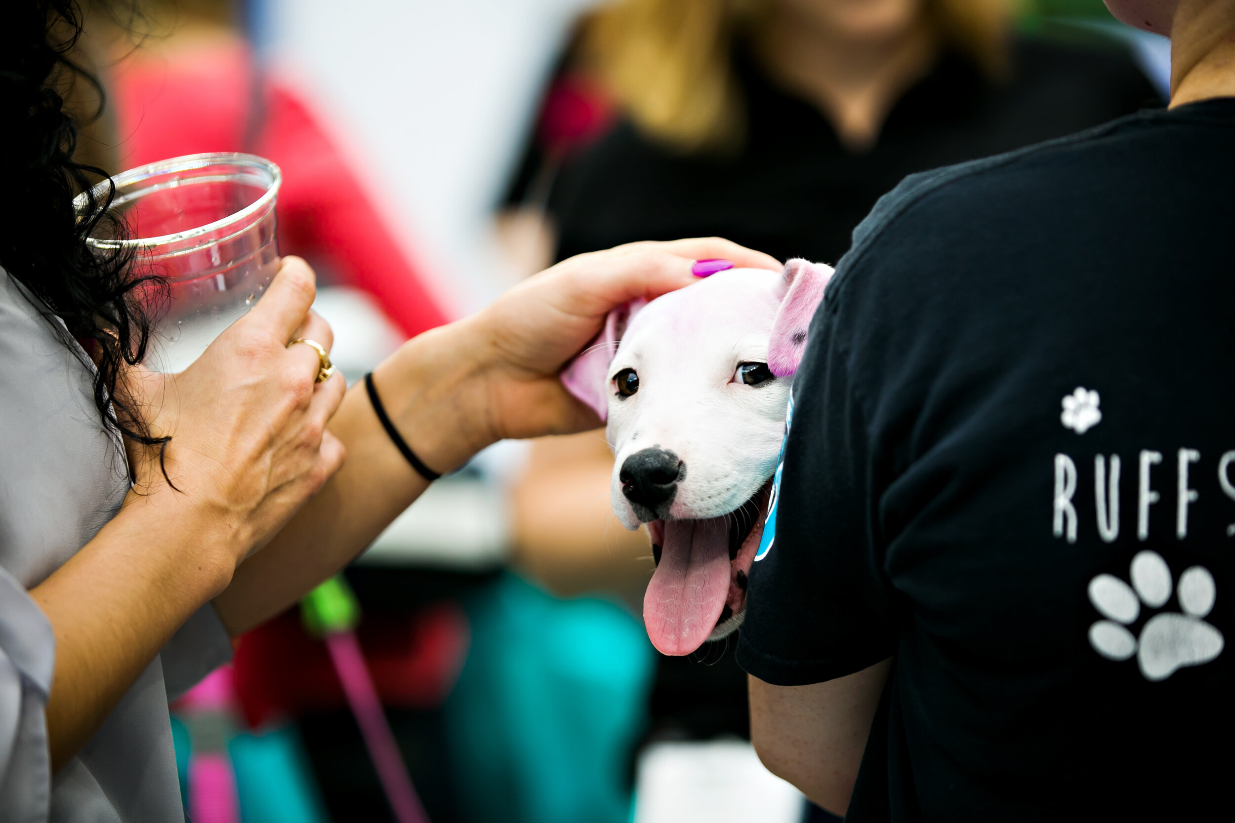 Minneapolis Event Photographer Lauren B Photography Candid Puppy Station005.jpg