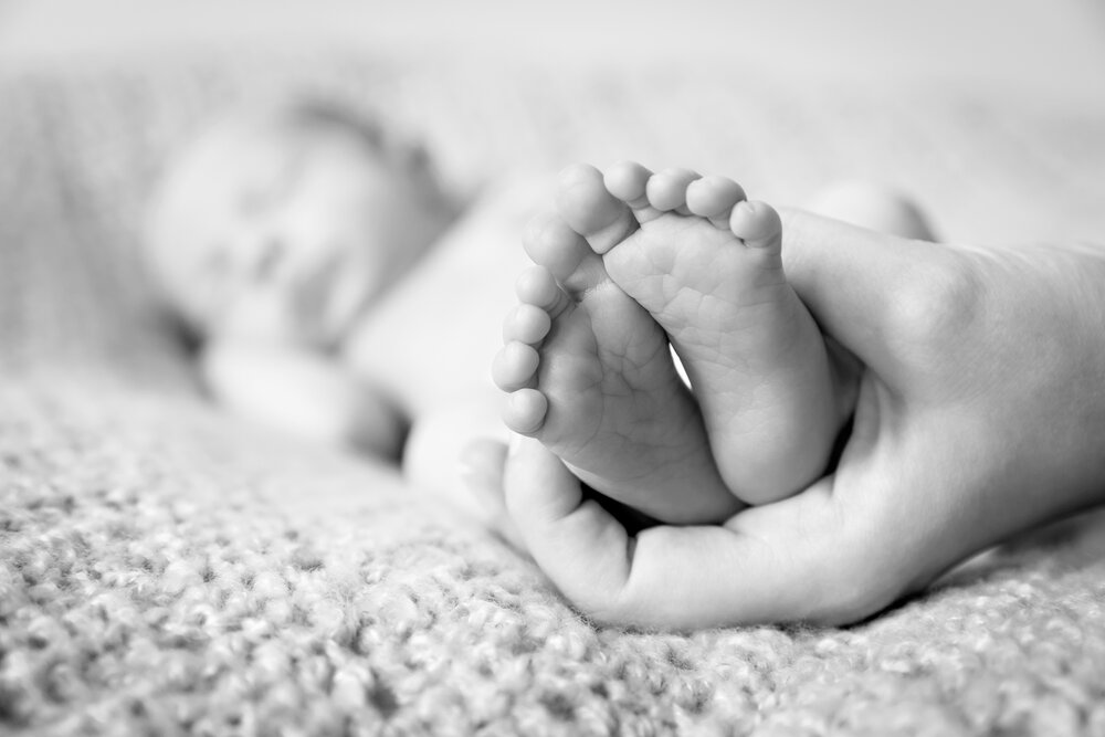 Minneapolis Newborn Baby Photography Black and White Feet in Hand Lauren B. Photography 5.jpg
