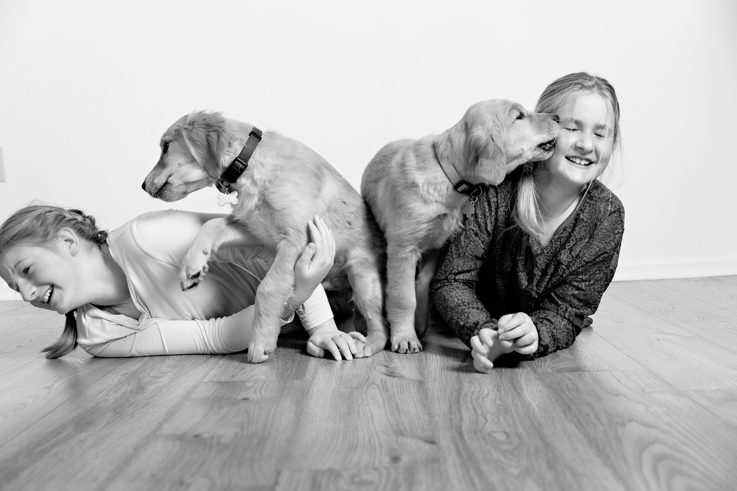 Indoor Studio NE Minneapolis Family Baby Portrait Photographer Lauren B Photography 25.jpg