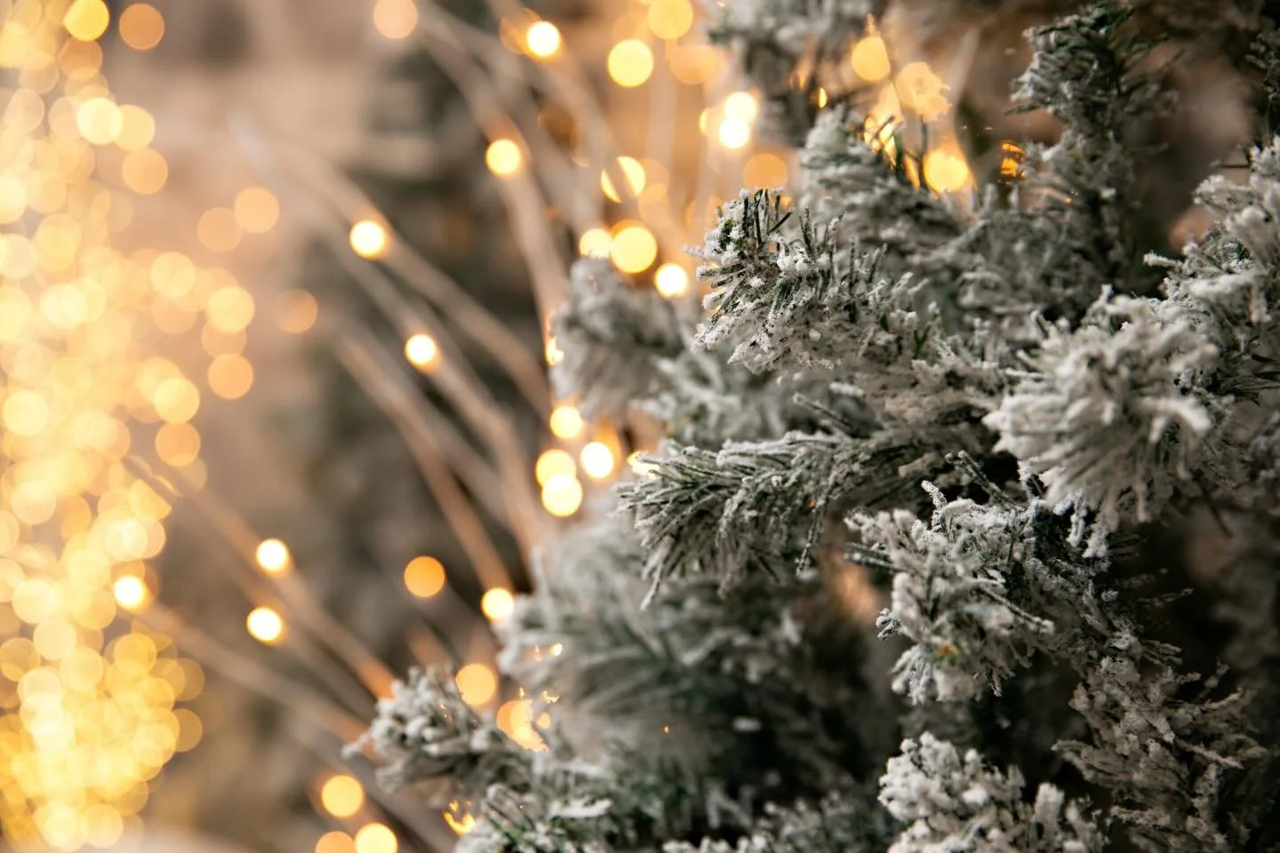 Happy holidays to you and yours! Wishing you peace calm and love in the new year. ✨

Decor by @collectedrentals at the @amswedinstitute