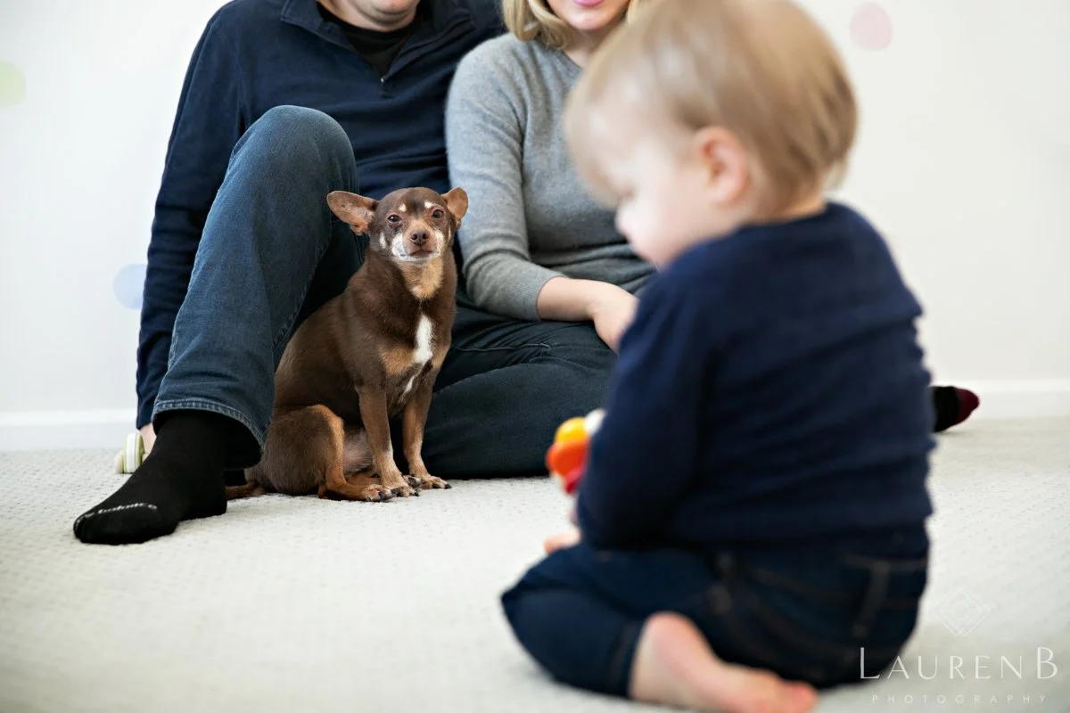A whole lot of love in this "lifestyle" portrait 🥰 . These are the &ldquo;remember this forever&rdquo; days.

#TwinCitiesPhotographer #MinneapolisPhotographer #MNFamilyPhotographer