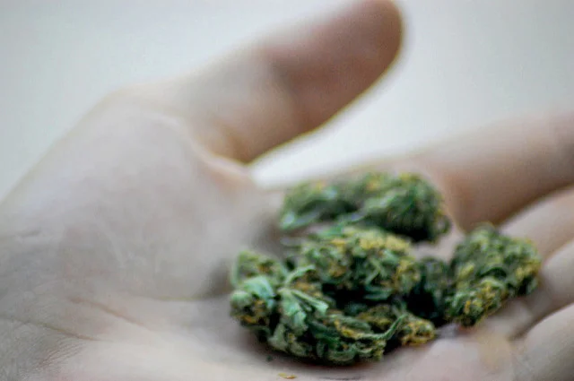 Marijuana-Possession.jpg