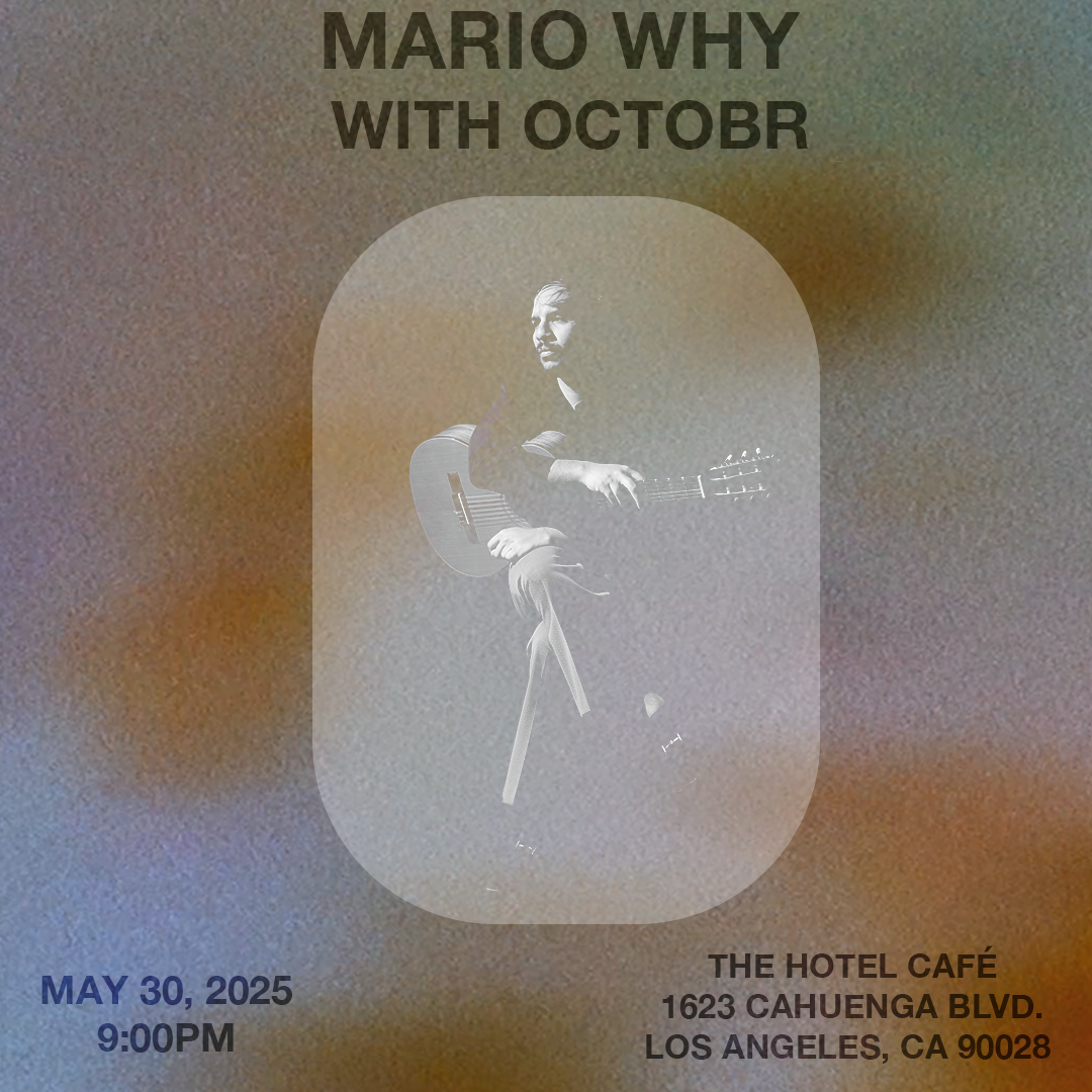 Mario Why at Hotel Cafe