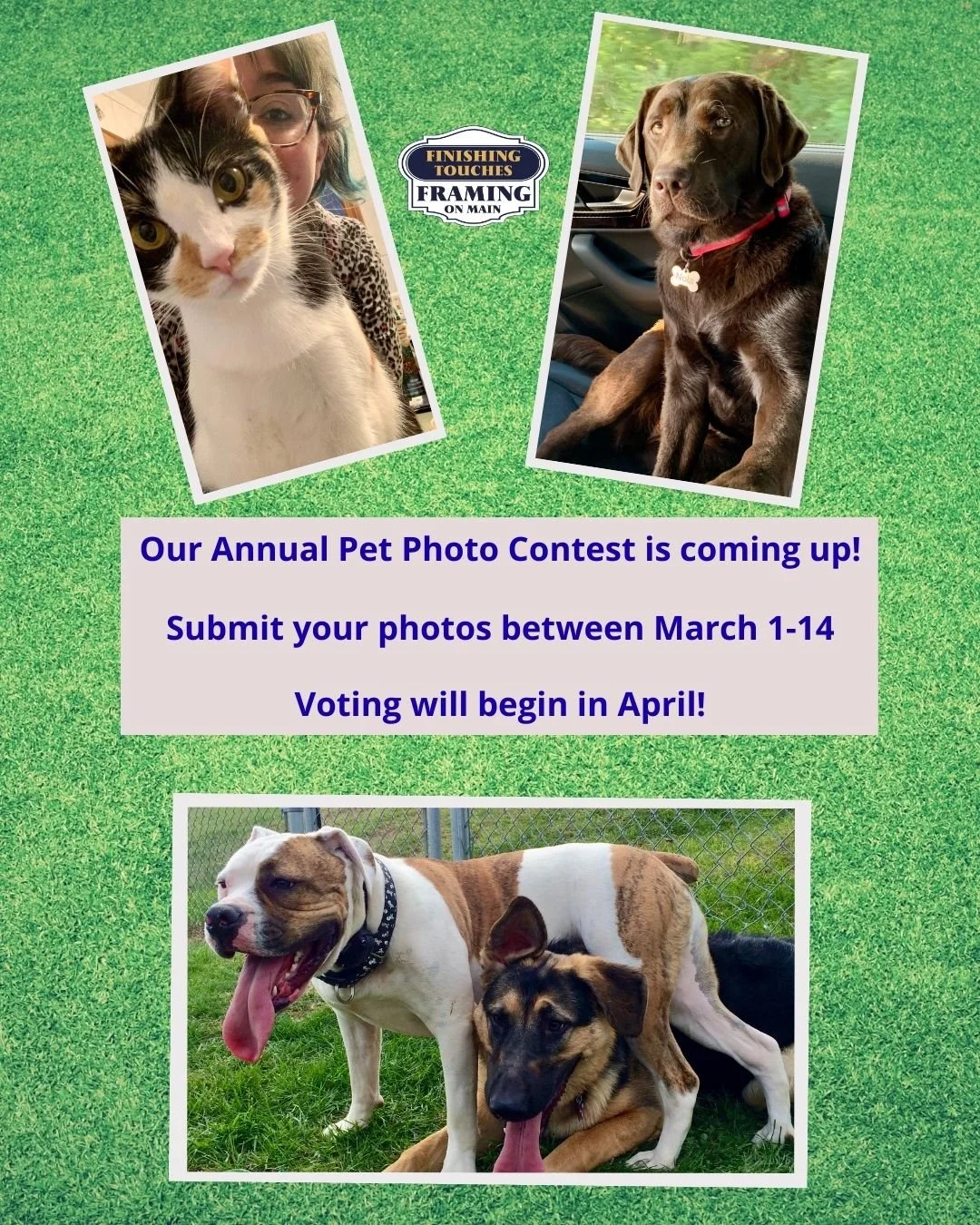 Our second annual Pet Photo Contest is coming up! 🐾 We will be accepting your best pet photos between March 1st-14th, they will be displayed and then voting will begin in April! 🐶🐱🐰 Get your cutest, funniest or craziest photos ready!

Photos will