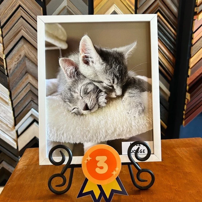 There is just TWO DAYS LEFT to submit photos to our pet photo contest! Photos will be displayed in our store windows and voting will be all through APRIL! There are gift certificate prizes for the top three voted photos, and a portion of all framing 
