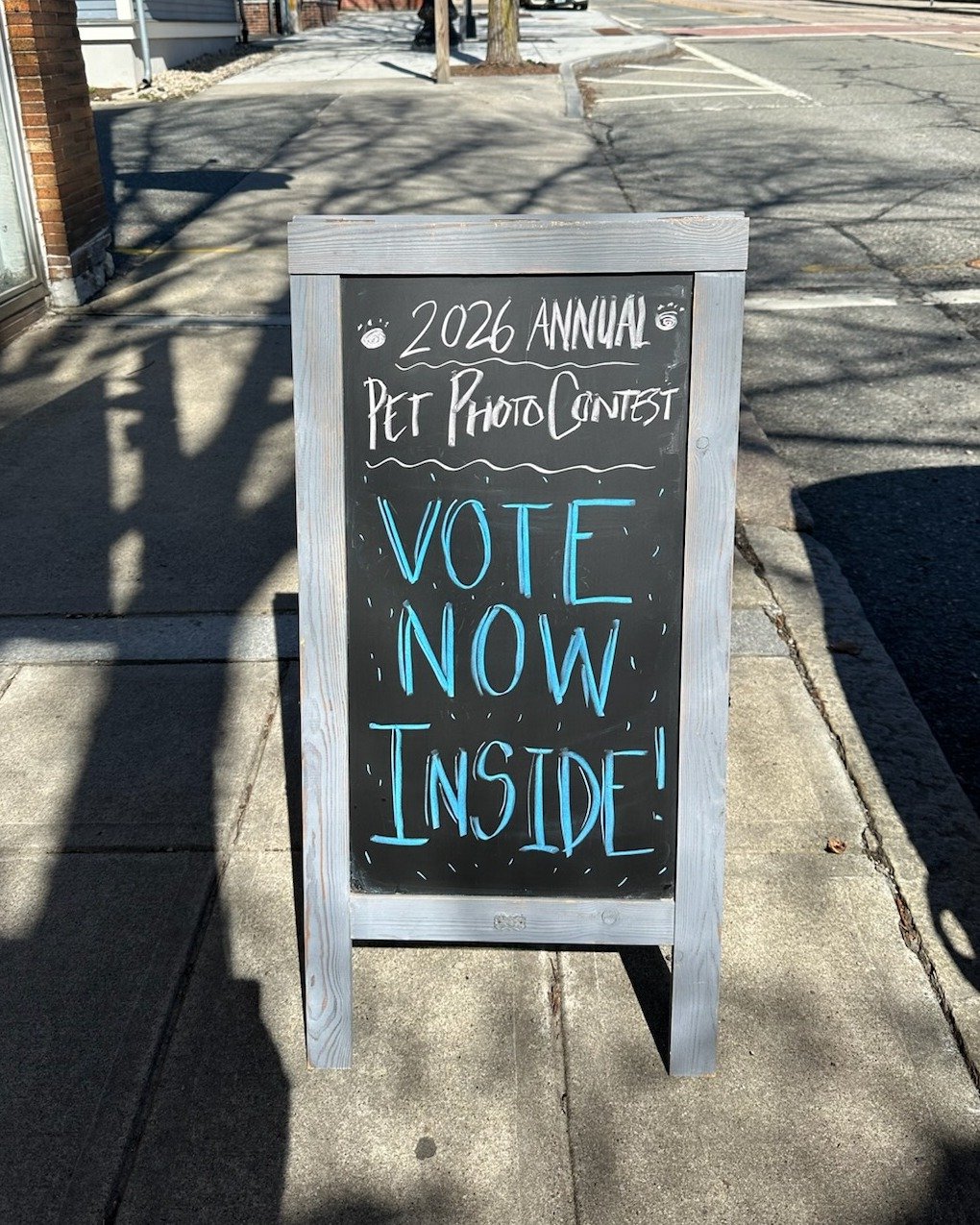 VOTING IS OPEN! Our 2026 🐾Pet Photo Contest🐾 is underway and we want to hear from YOU! All submissions received have been framed and hung in our store windows, and voting only applies in store. So stop in and let us know which ones you think are th