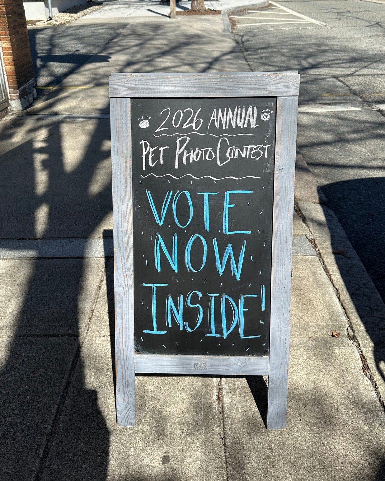 Have you seen our window display and thought, "Hey, that dog or cat is WAY cuter than all the others"? Well tell us about it! Our pet photo contest is going on now and all of the pets in our window are asking for your votes! Voting is only 