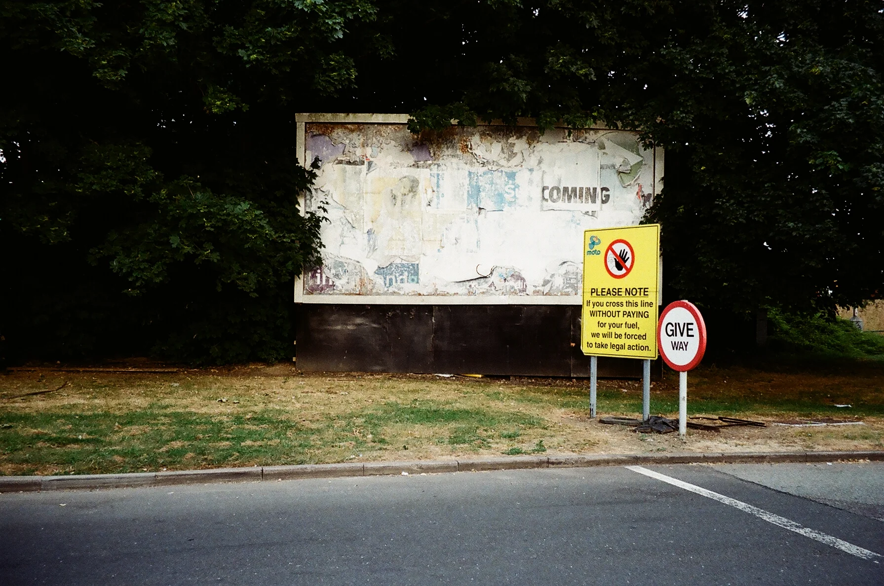 Poetry: Sophie Wilson