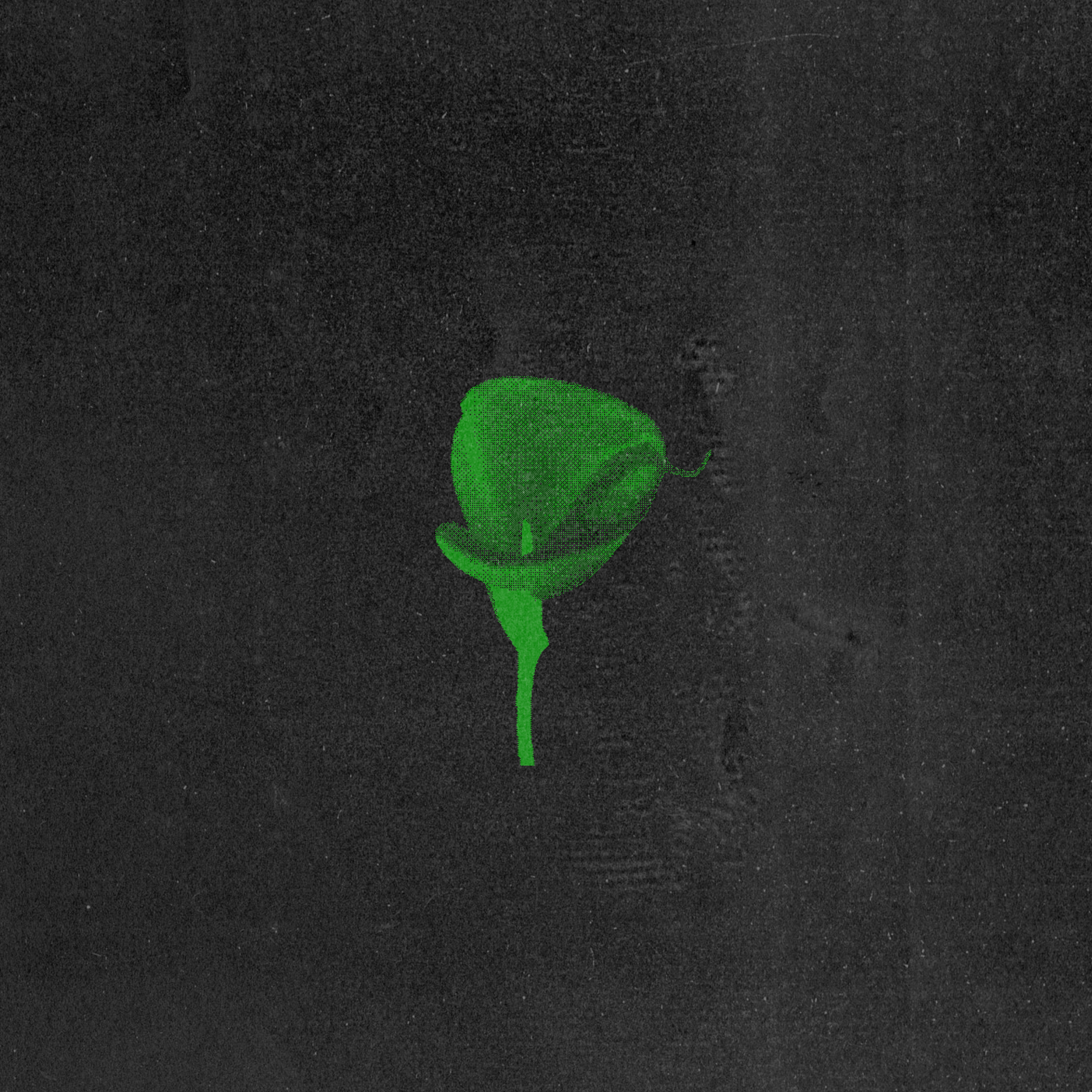 Nixer - Freedom
