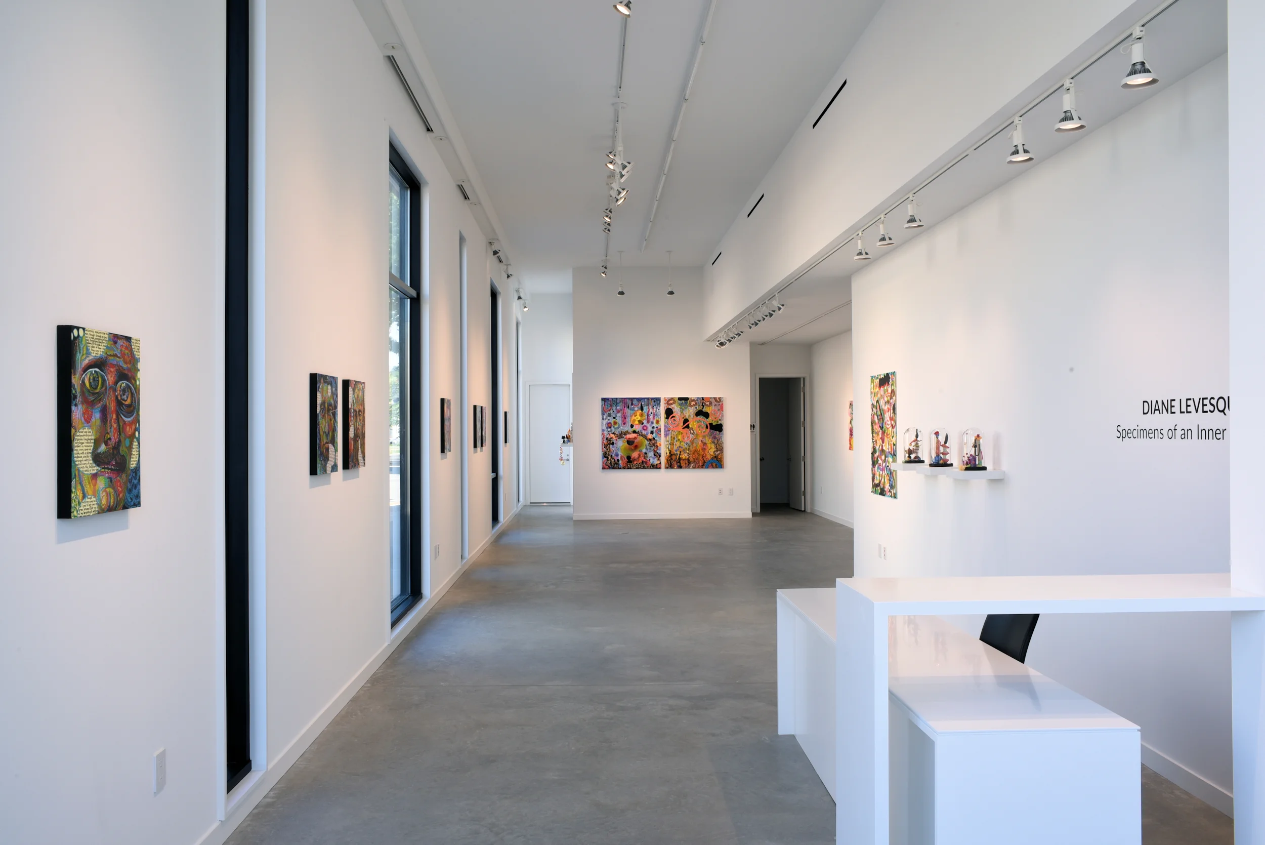 Diane Levesque: Specimens of an Inner Dialogue