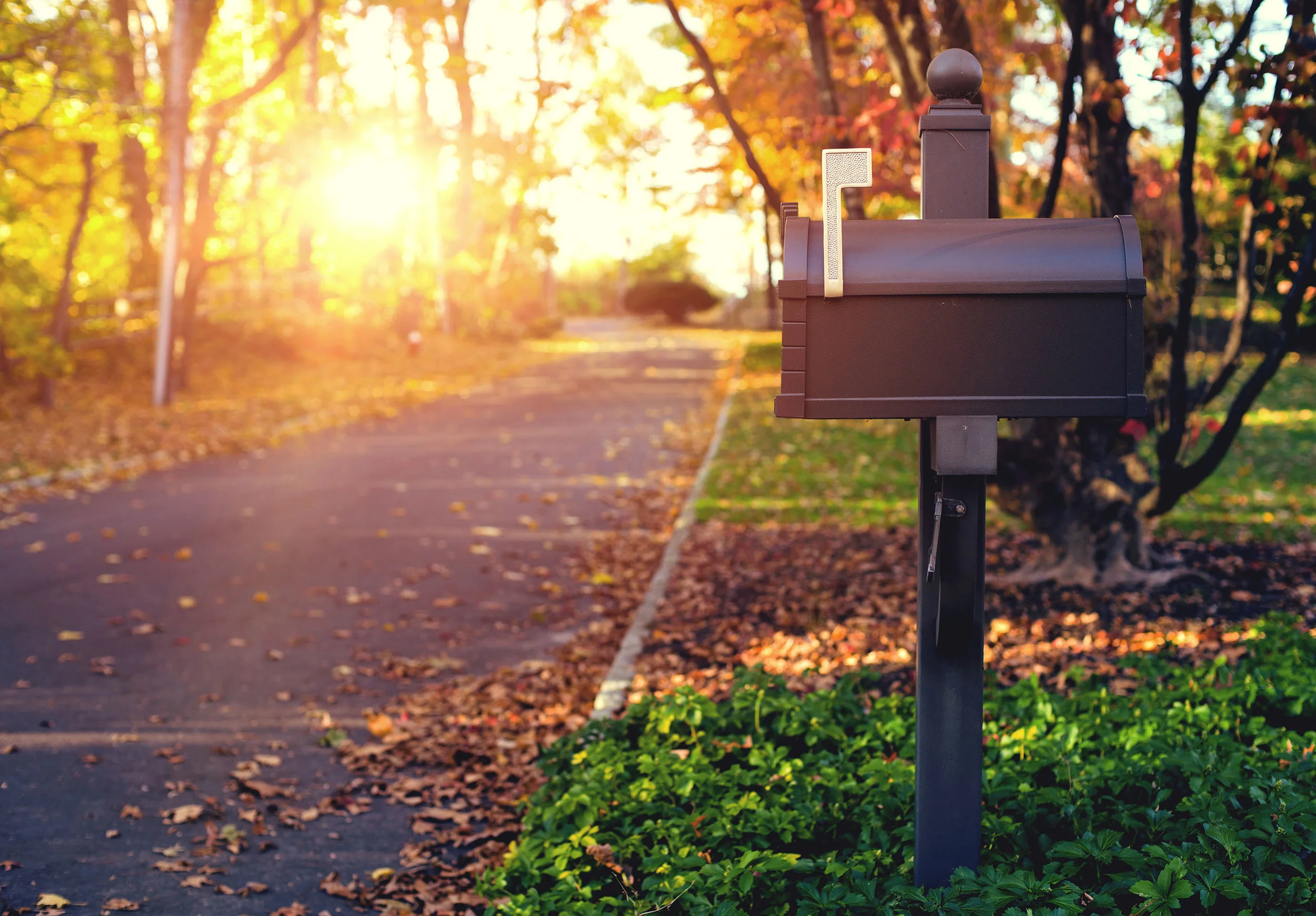 Mailbox-2.jpg