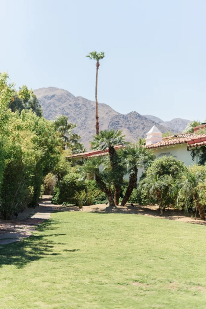 palm-spring-engagement-session-Colony-Palm-Palm-Springs-Joshua-Tree-Engagment-session-Sanaz-Photography-Palm-Springs-wedding-photographer-51-683x1024.jpg