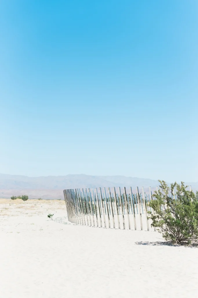 palm-spring-engagement-session-Colony-Palm-Palm-Springs-Joshua-Tree-Engagment-session-Sanaz-Photography-Palm-Springs-wedding-photographer-55-683x1024.jpg