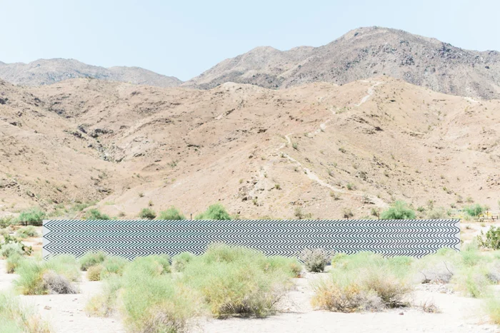 palm-spring-engagement-session-Colony-Palm-Palm-Springs-Joshua-Tree-Engagment-session-Sanaz-Photography-Palm-Springs-wedding-photographer-58.jpg