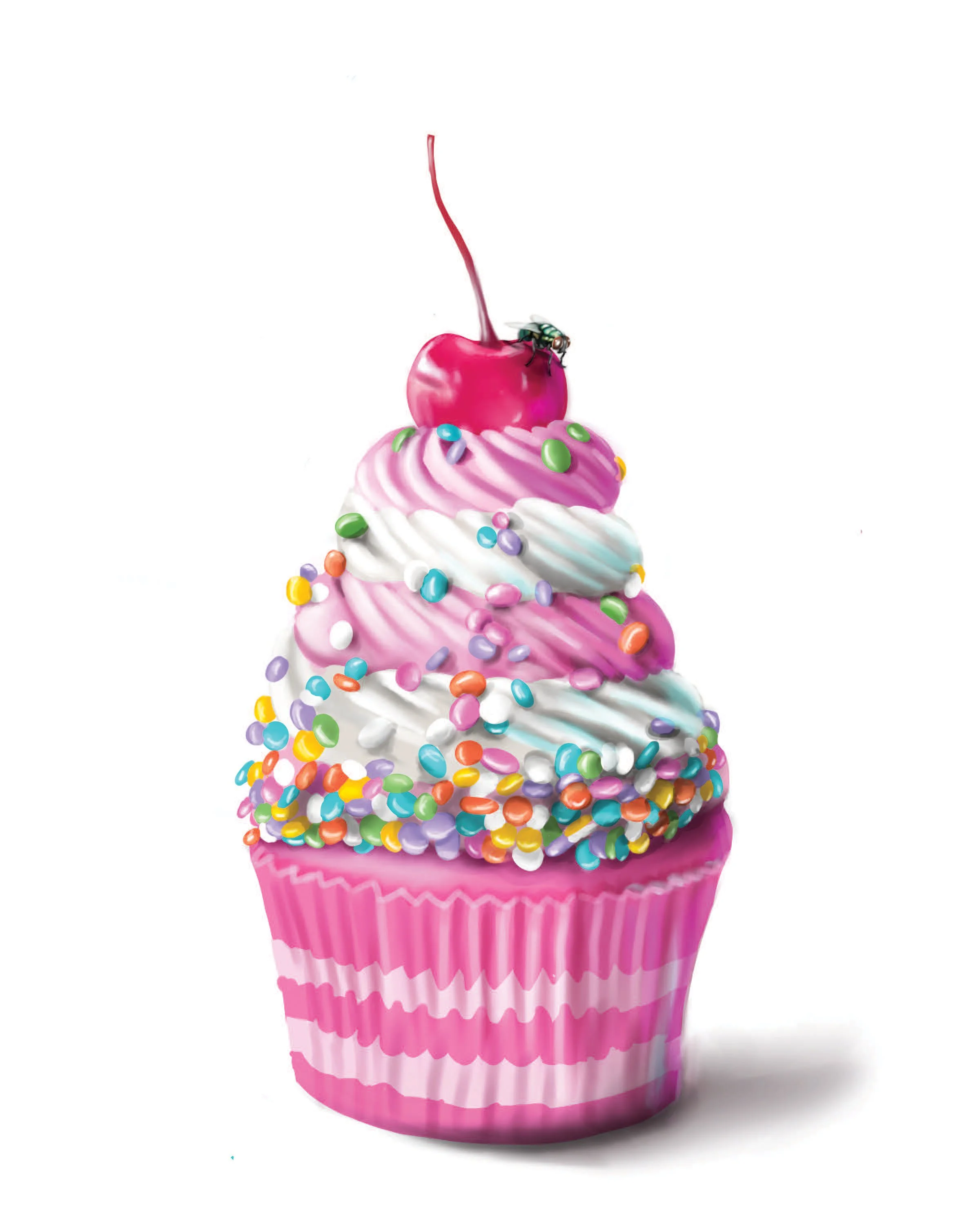 The fly & the cupcake 