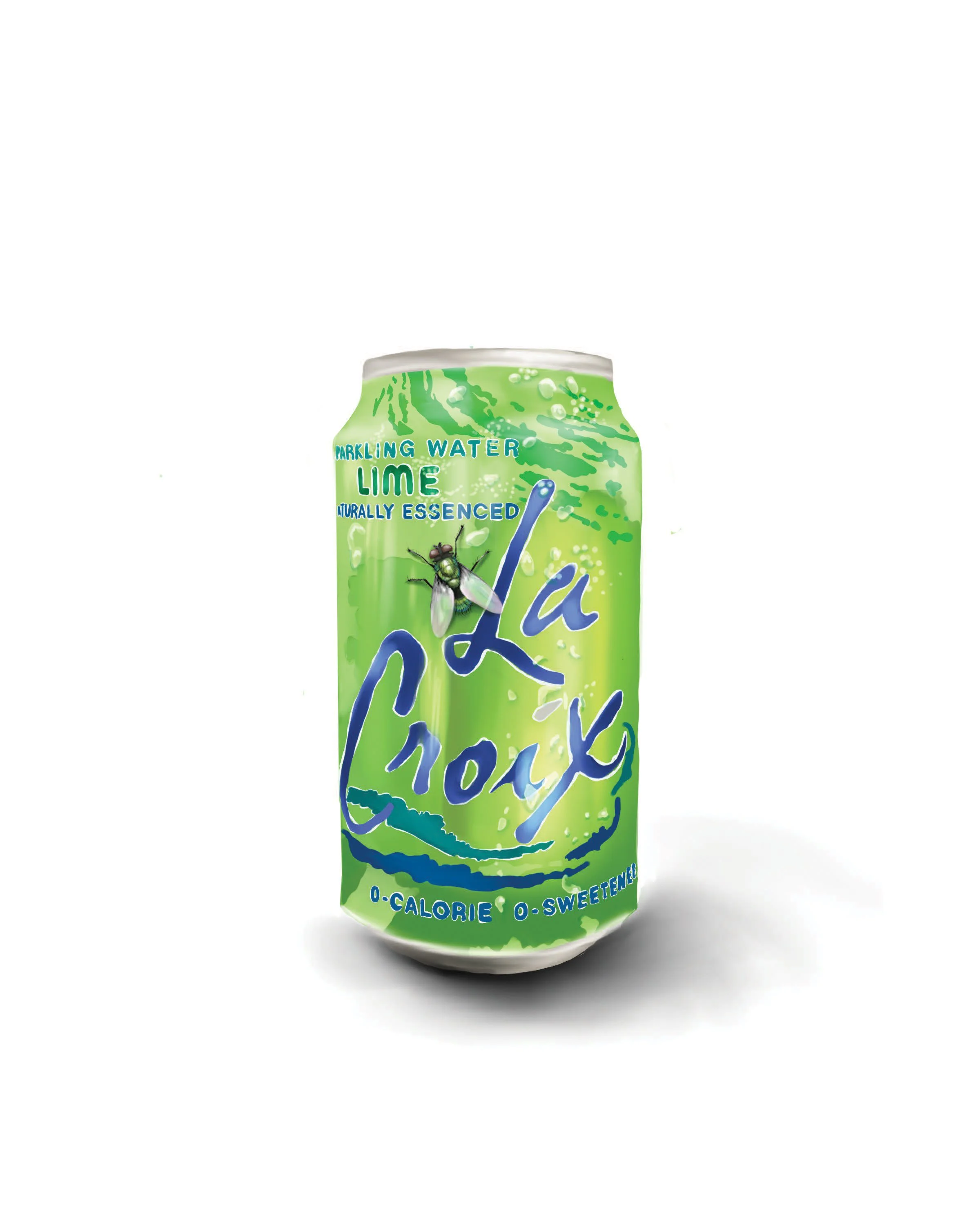 The fly & the can