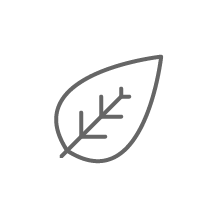Asset 6@4x.png