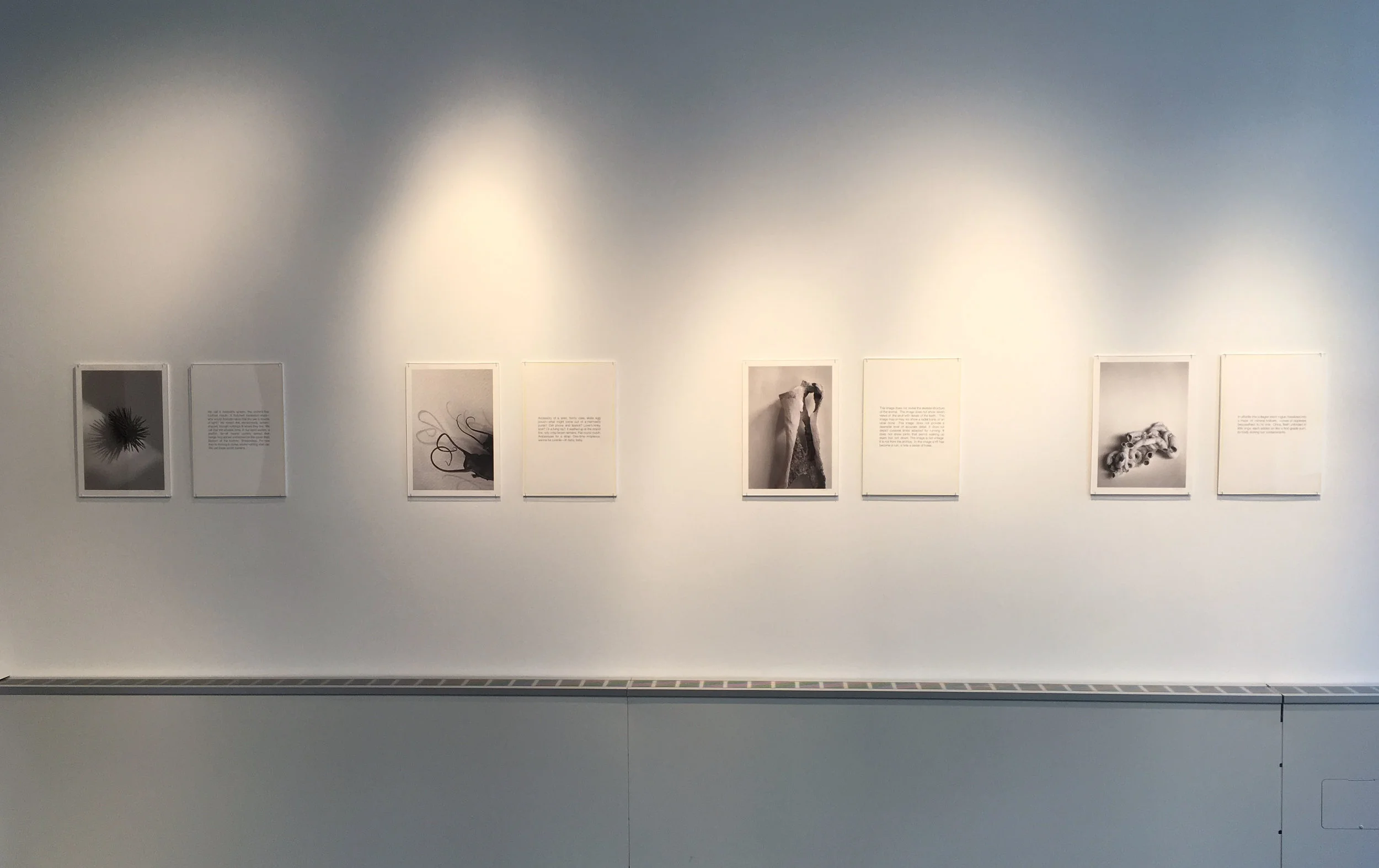 Sediment Installation Shot 3.jpg
