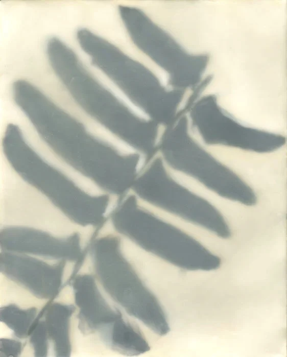 Abby Goldstein encaustic leaf single.jpg