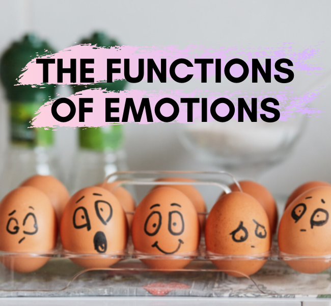 The Functions of Emotions 