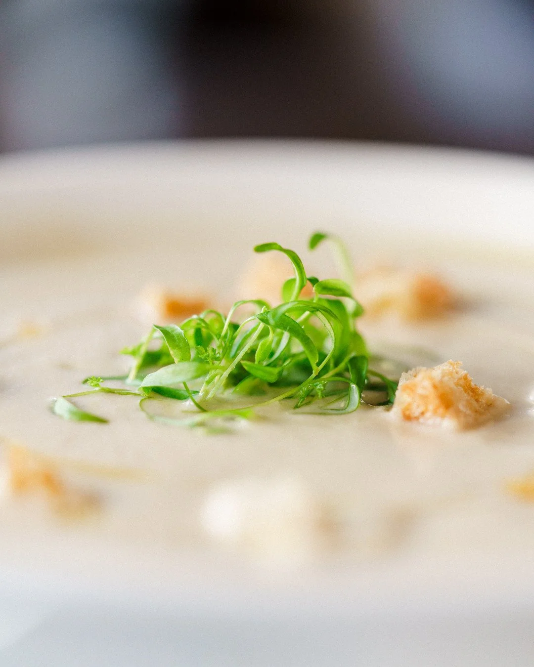 Soup season has arrived ✨⁠
⁠
When the weather shifts, so does our pot. Today's soup reflects what's happening outside your window and what's fresh in our kitchen.⁠
⁠
Ask your server what's simmering today!