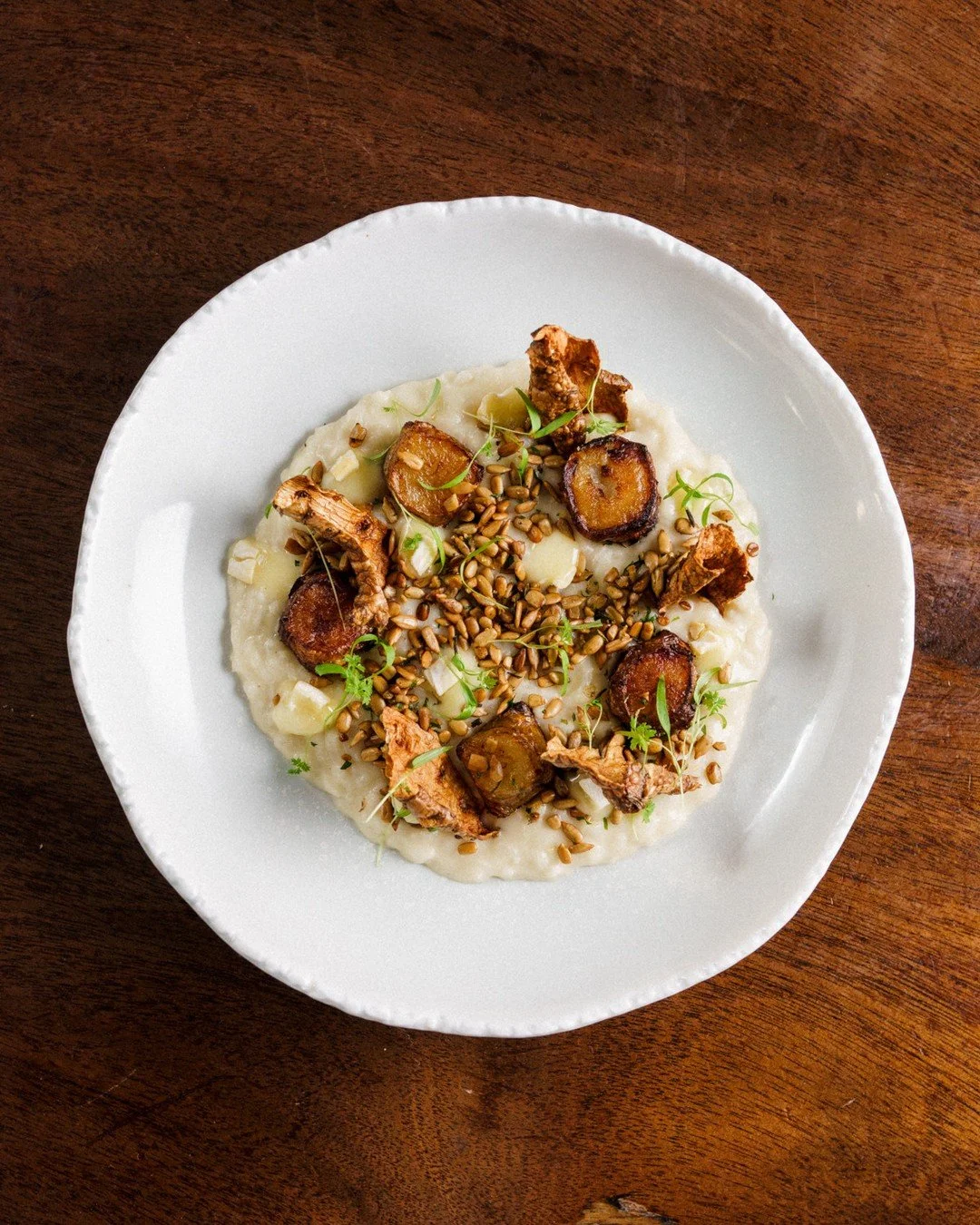 Risotto | sunchoke, Sauvagine cheese, Mascarpone, sunflower seed gremolata⁠
⠀⁠
Sunchoke brings sweet, nutty earthiness. Sauvagine is a raw milk cheese from Quebec with a washed rind and creamy funk. Mascarpone smooths everything out. The sunflower se