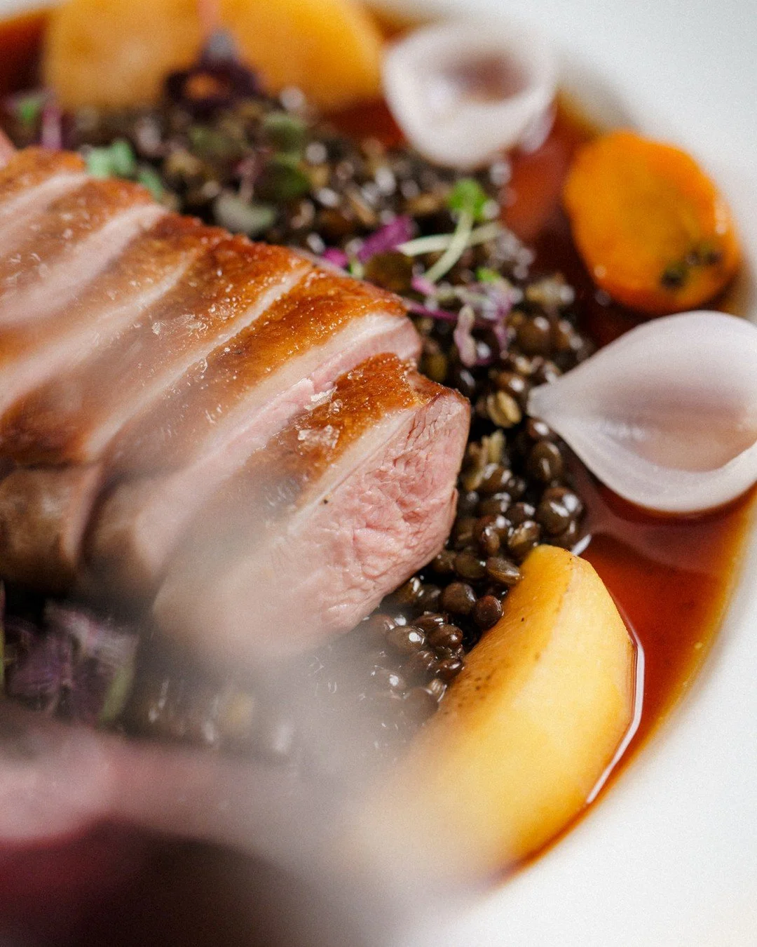 Magret de Canard | verjus glazed duck breast, lentils, carrots, pickled pearl onion, plum, duck jus⁠
⠀⁠
This is a Gascony classic. Duck breast cooked medium rare, sliced and served with a verjus glaze.⁠
⠀⁠
Lentils, carrots, pickled pearl onion, plum,