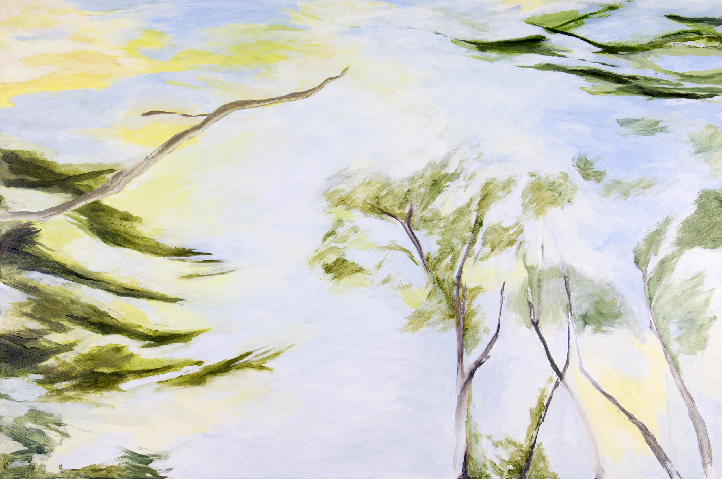 Up in the Canopy , 2018, O/Panel, 24” x 36"