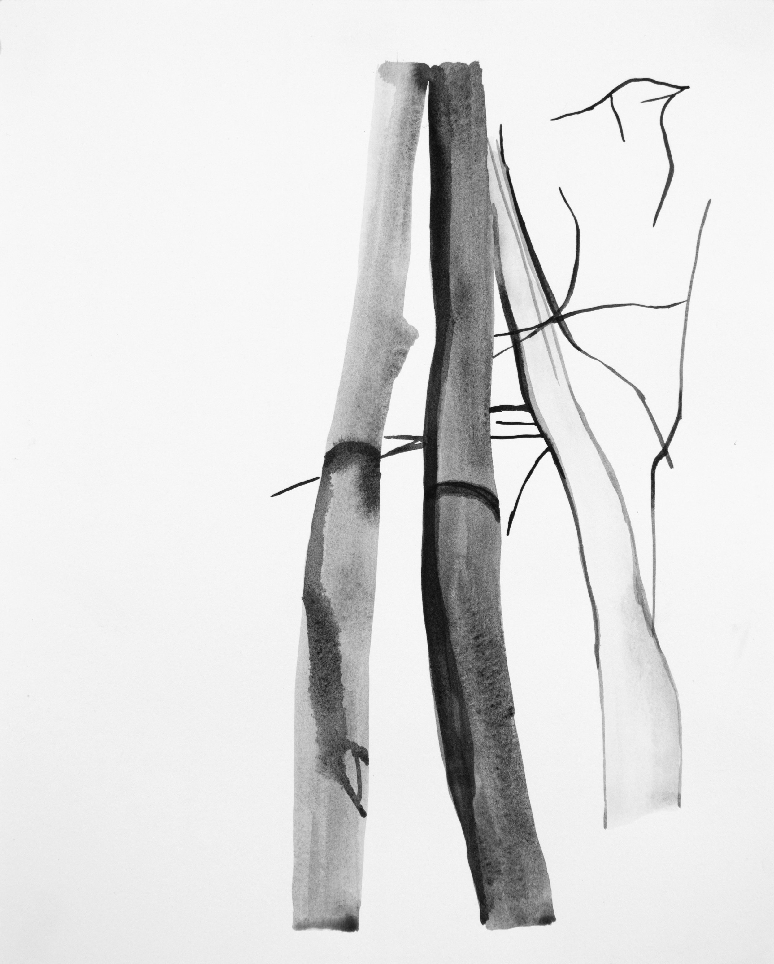 Trunks, Leaning, 2014, W/C, 14” x 11”