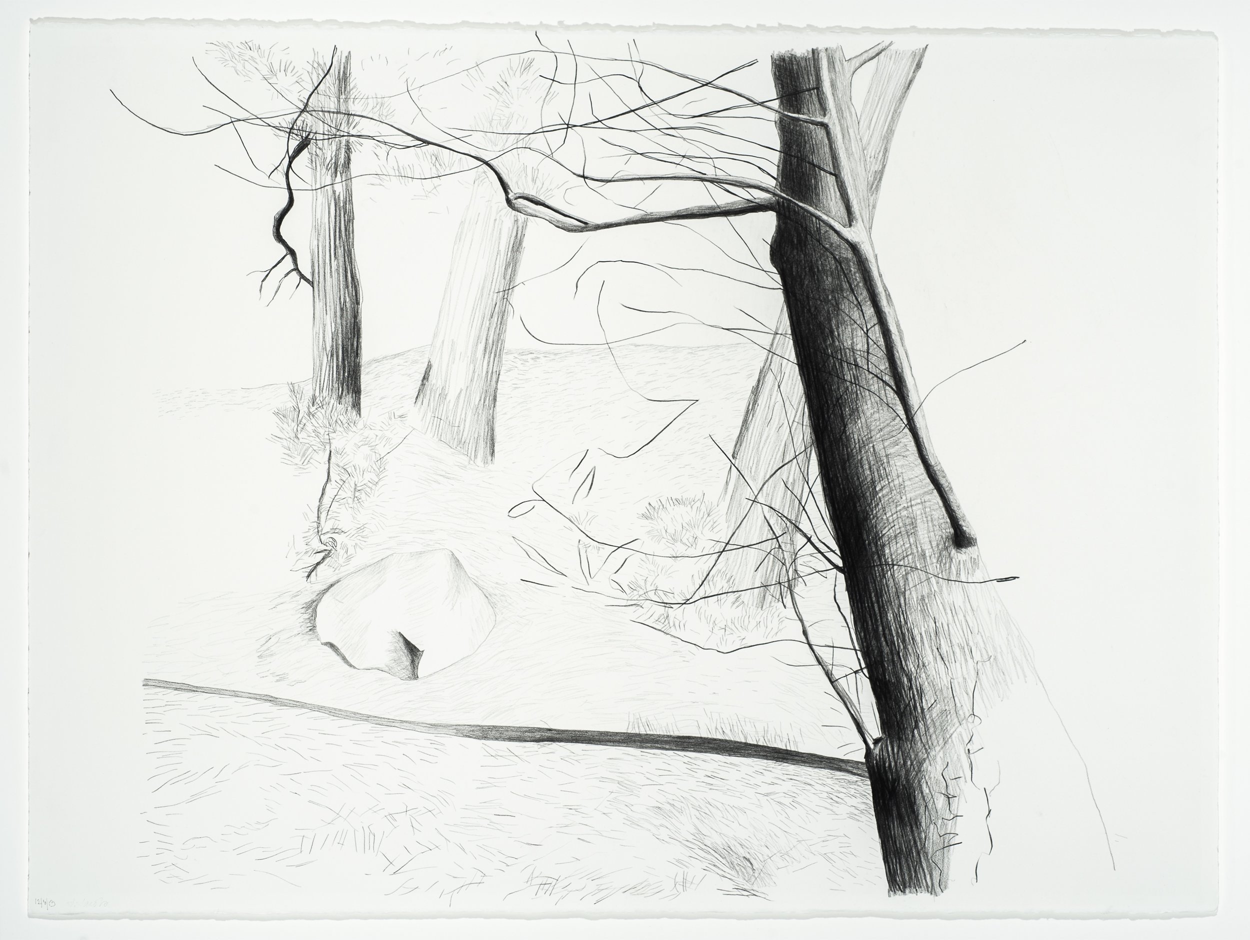Across the Street, 2013, Graphite/Paper, 22” x 30”