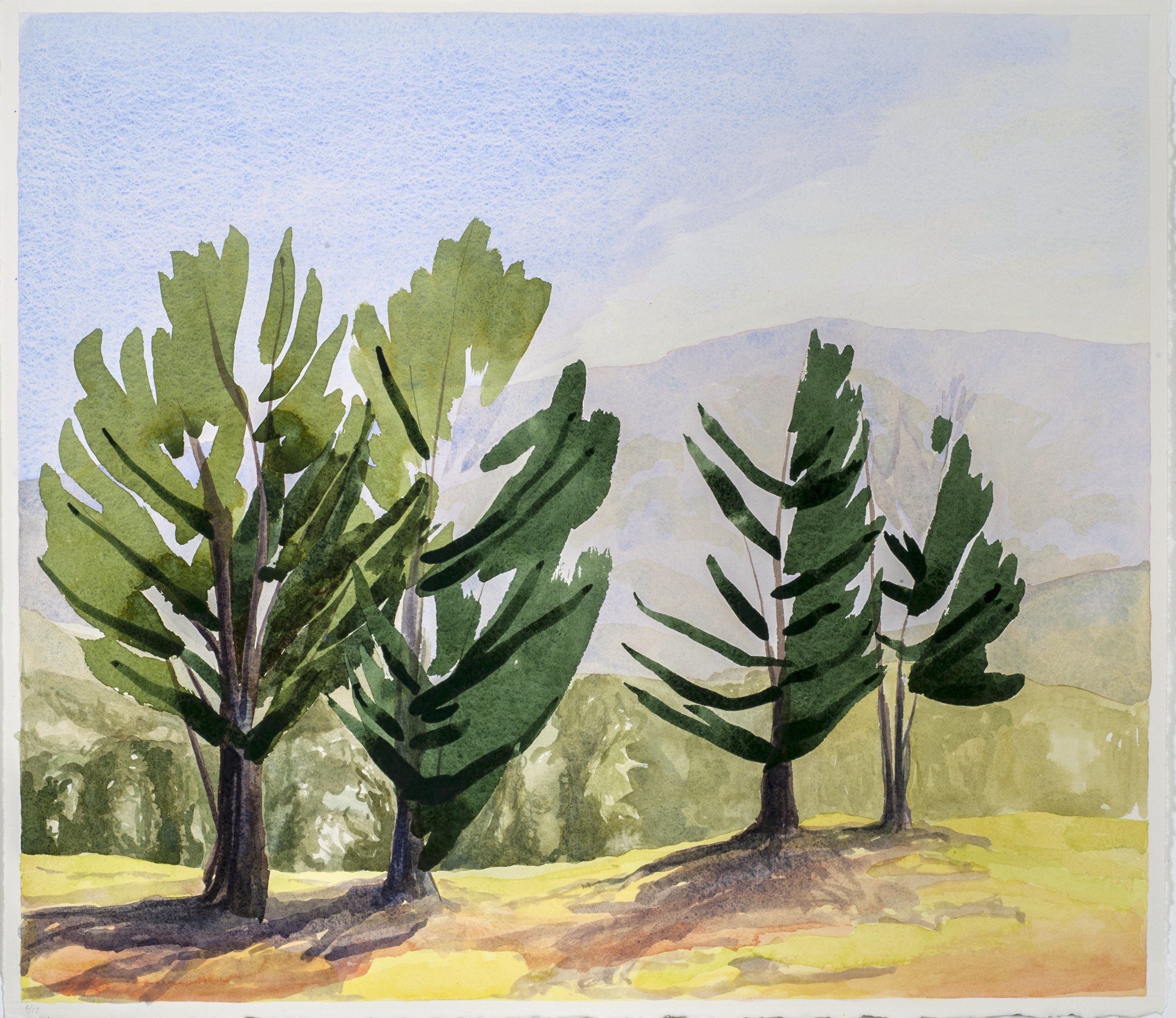 Pine Trees on my Morning Walk , 2017, W/C, 22” x 26”