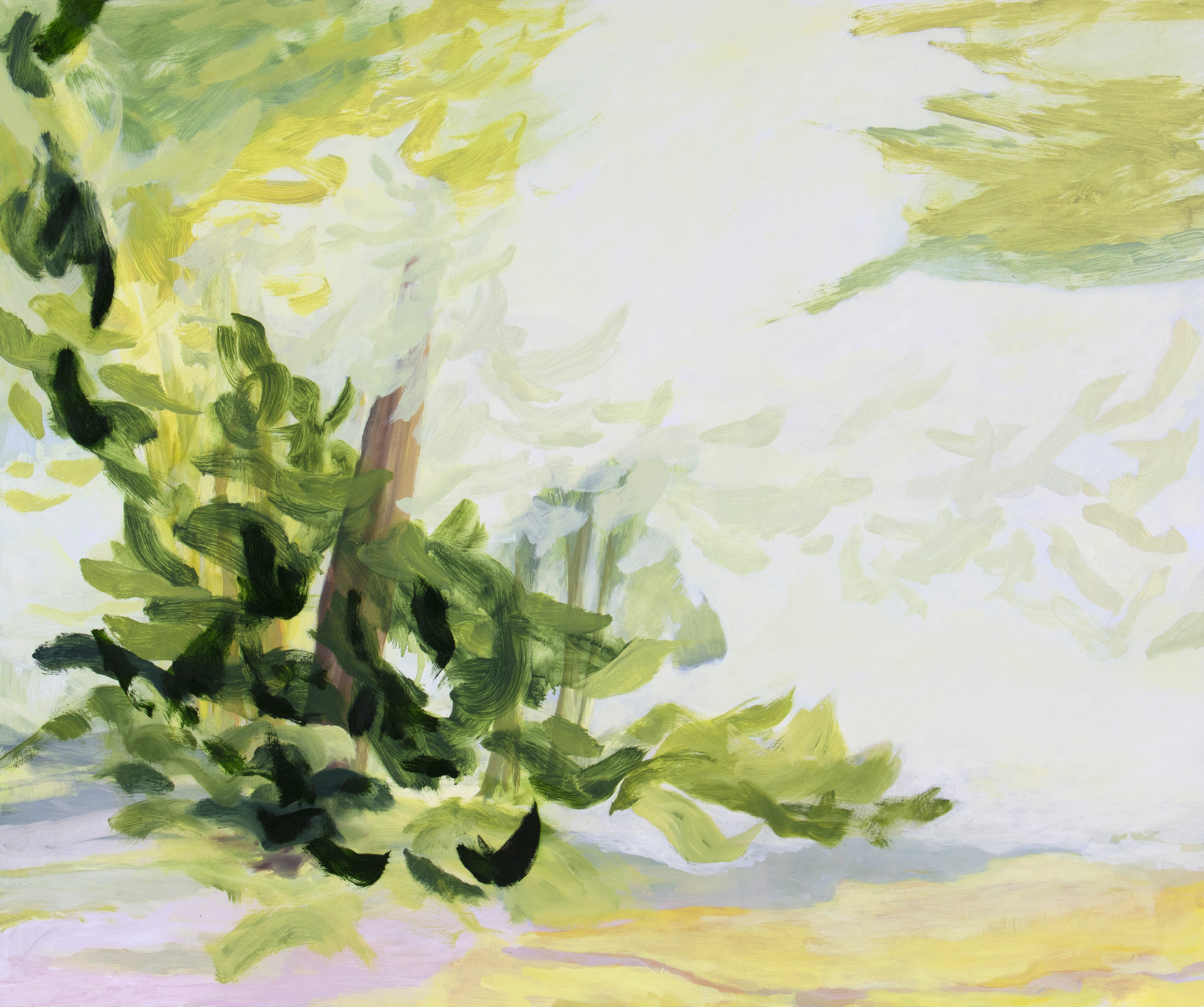 Light Leaves , 2019, Oil/Panel, 30” x 36"