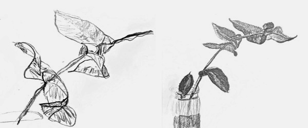Student work