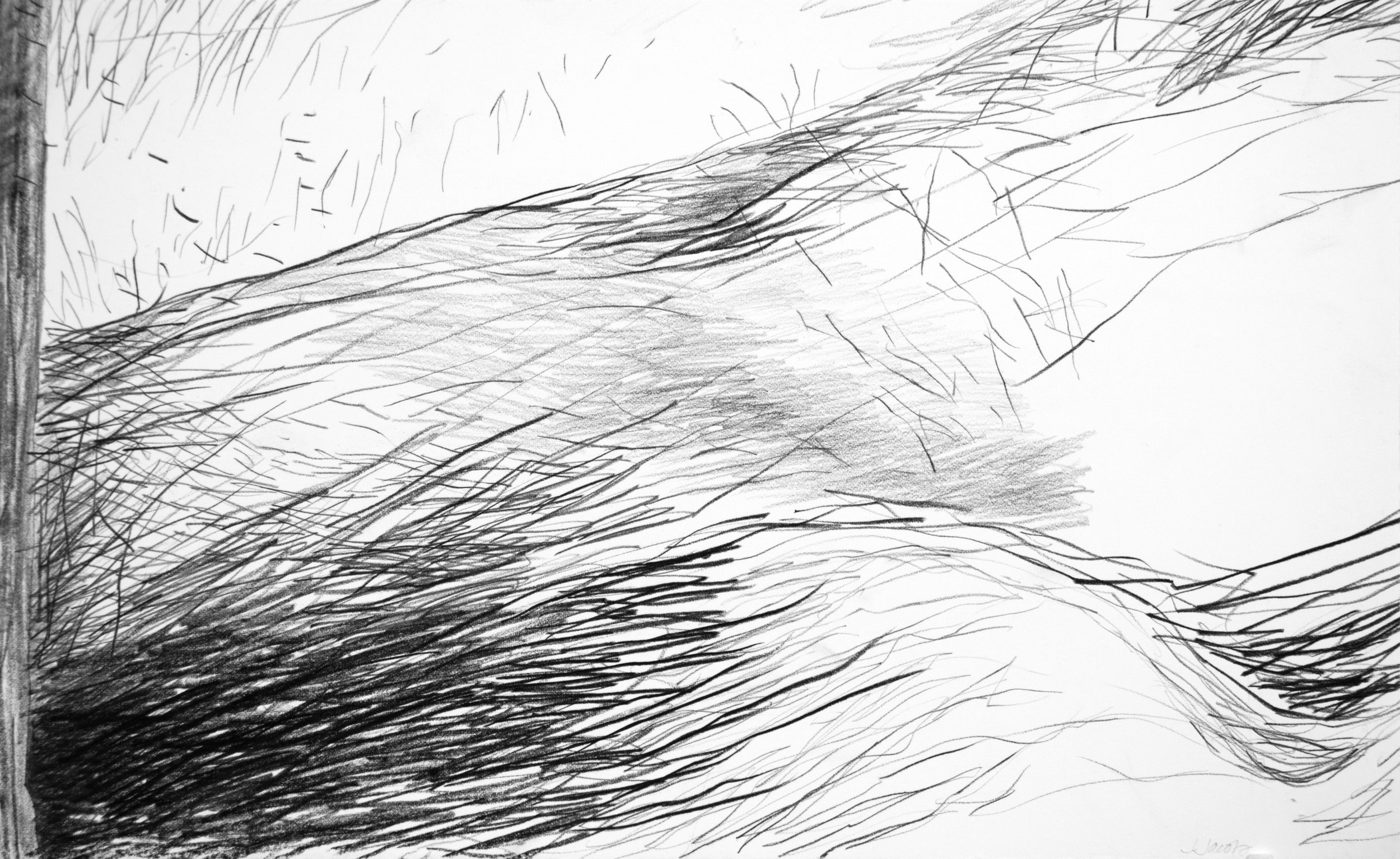 Our Hill Out Back, 2013, Graphite/Paper, 10”x 15”