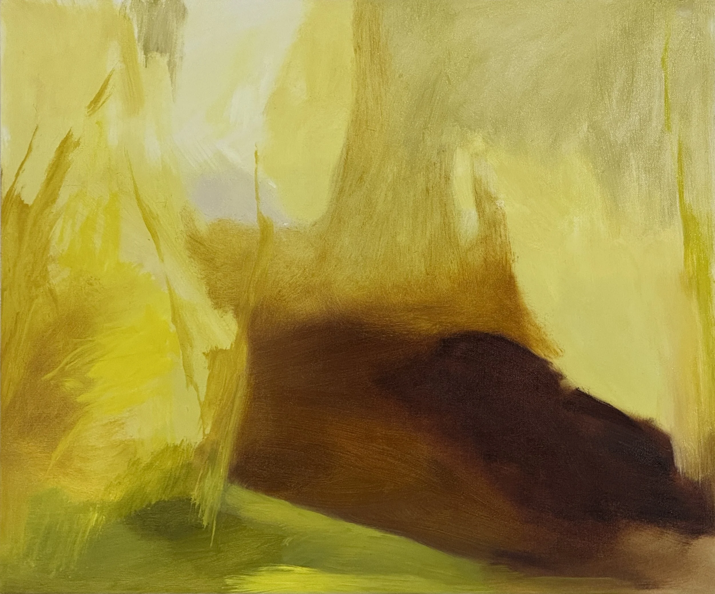  Light Over Land (Ljus över land),  2026, Oil on Canvas Panel,  18” x 22”, 46cm x 56cm 
