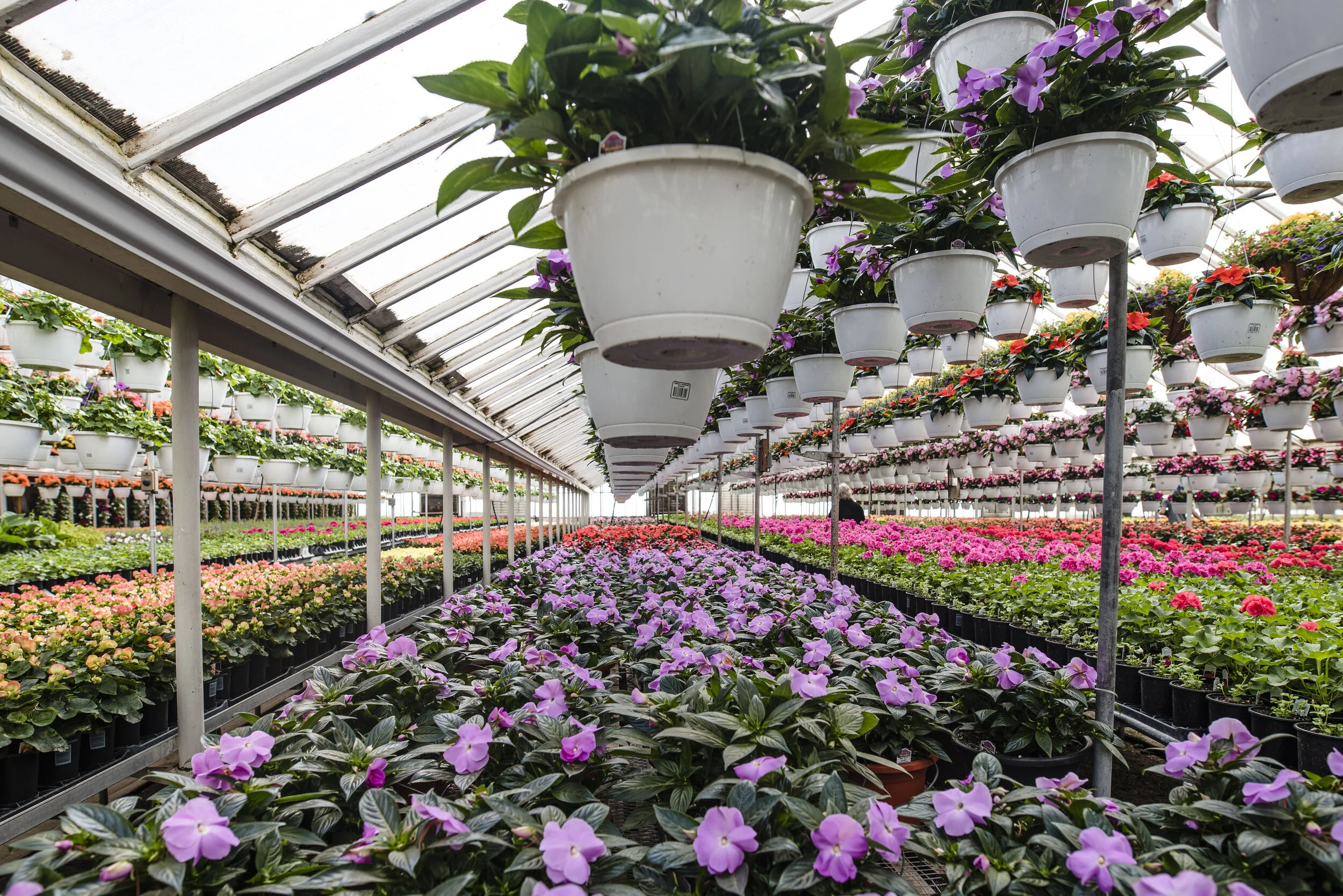 Contact Us — Benoit Greenhouses