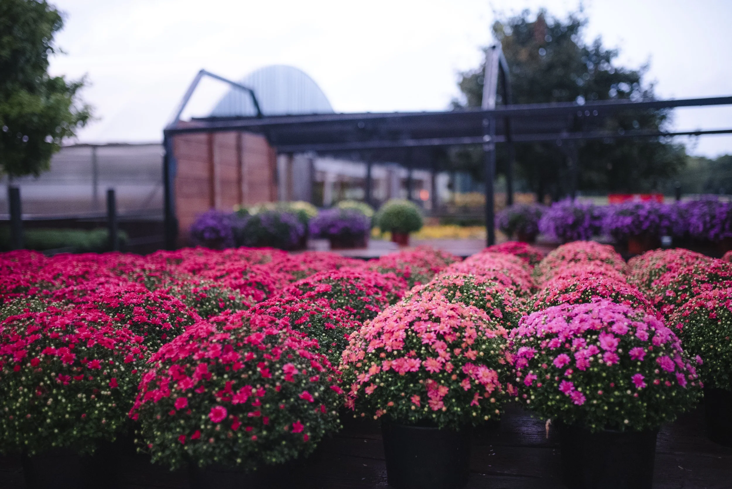DIRECTIONSTOGREENHOUSE — Benoit Greenhouses